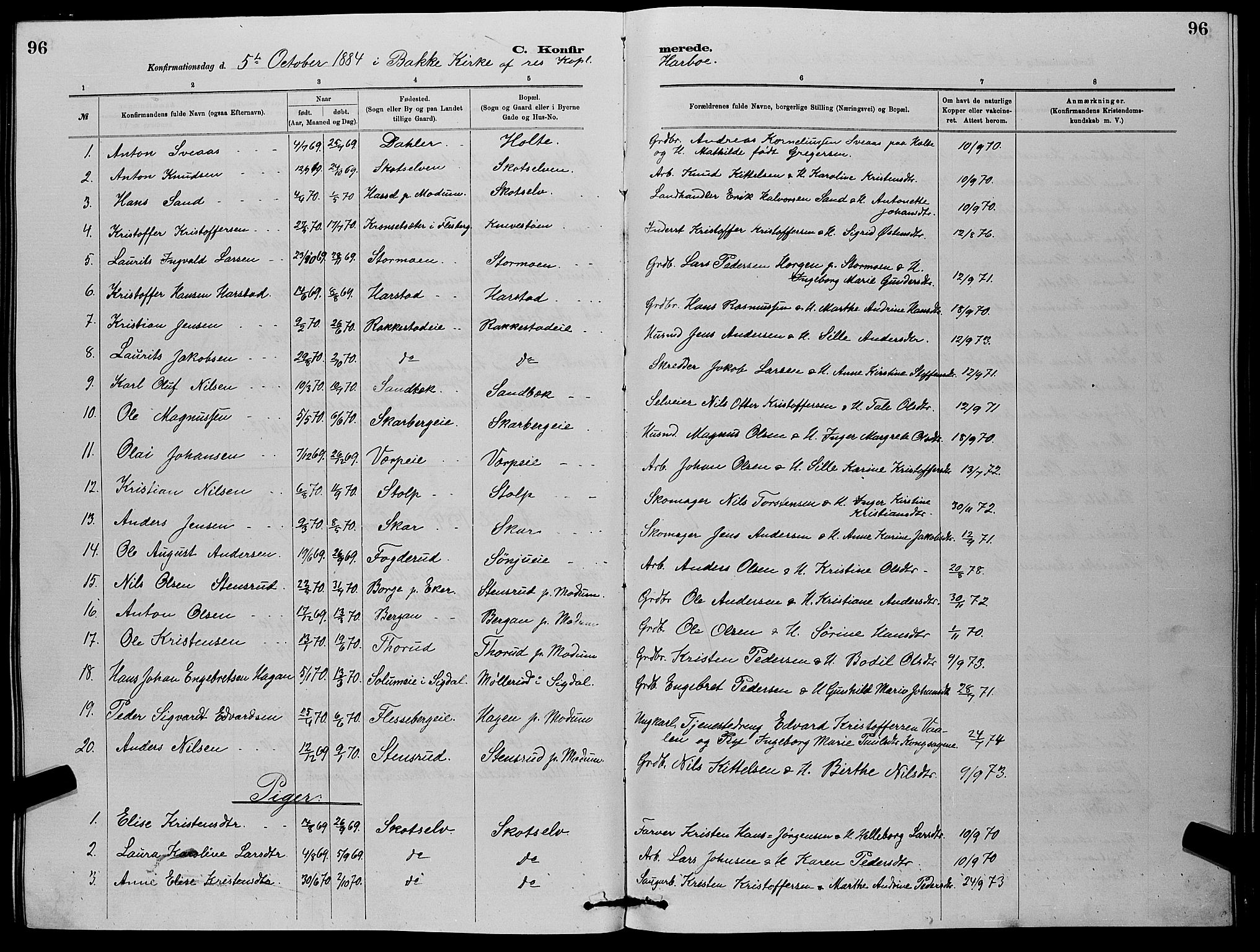 Eiker kirkebøker, SAKO/A-4/G/Gb/L0003: Parish register (copy) no. II 3, 1880-1893, p. 96