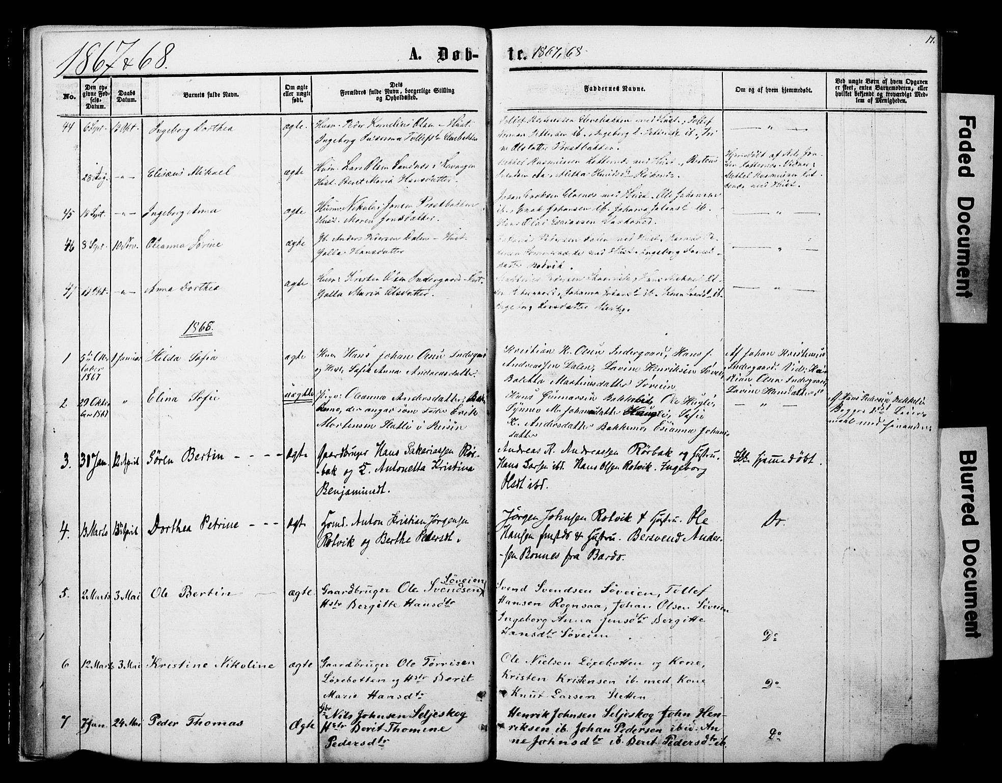 Ibestad sokneprestembete, SATØ/S-0077/H/Ha/Haa/L0013kirke: Parish register (official) no. 13, 1865-1879, p. 17