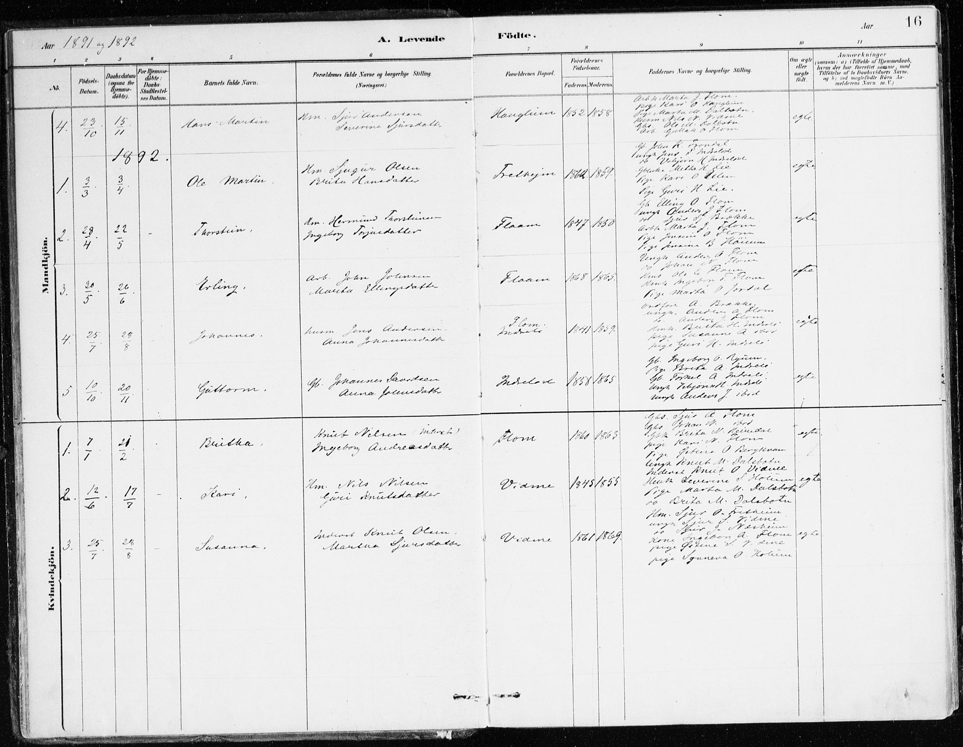 Aurland sokneprestembete, SAB/A-99937/H/Ha/Hac/L0001: Parish register (official) no. C 1, 1880-1921, p. 16