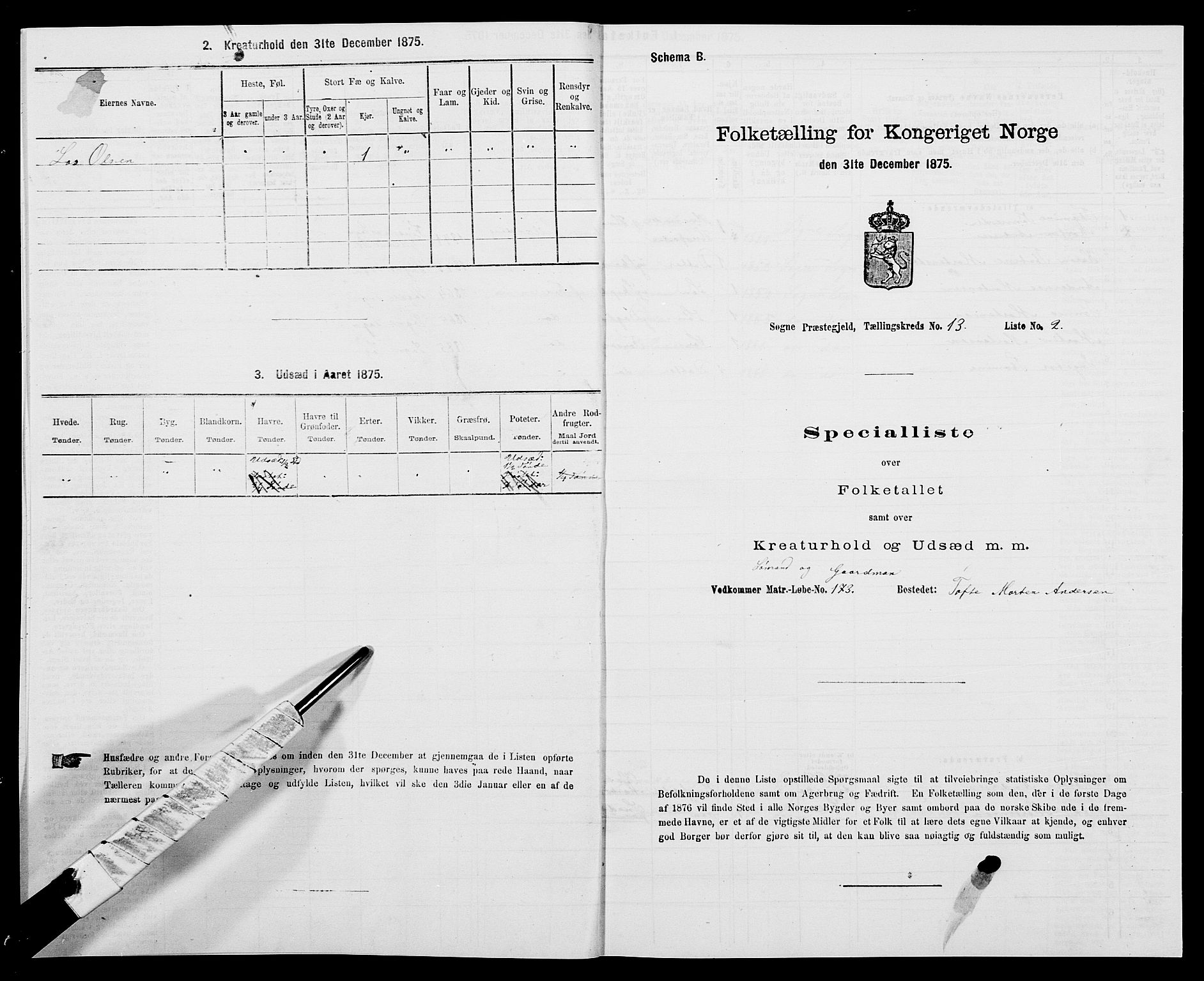 SAK, 1875 census for 1018P Søgne, 1875, p. 918