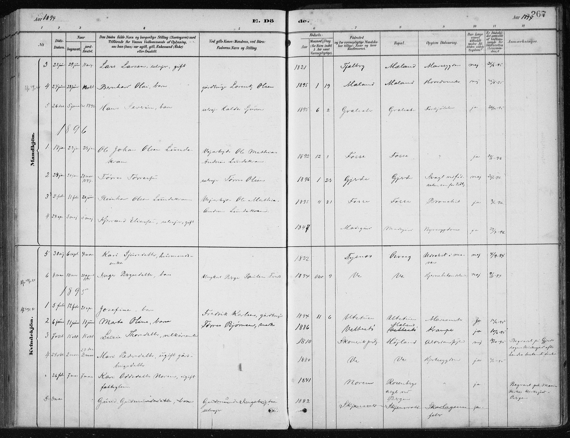 Etne sokneprestembete, SAB/A-75001/H/Haa: Parish register (official) no. C  1, 1879-1919, p. 267