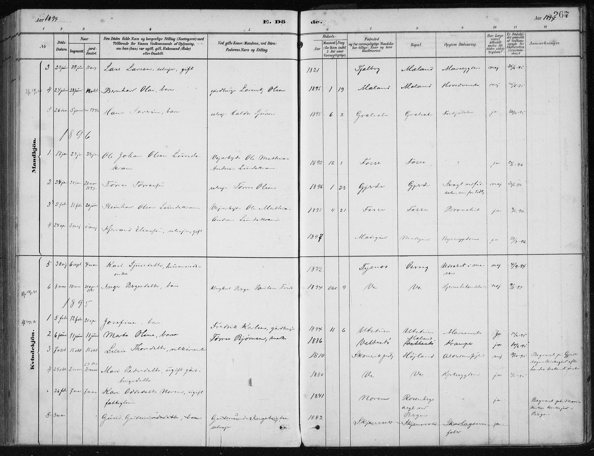 Etne sokneprestembete, AV/SAB-A-75001/H/Haa: Parish register (official) no. C  1, 1879-1919, p. 267