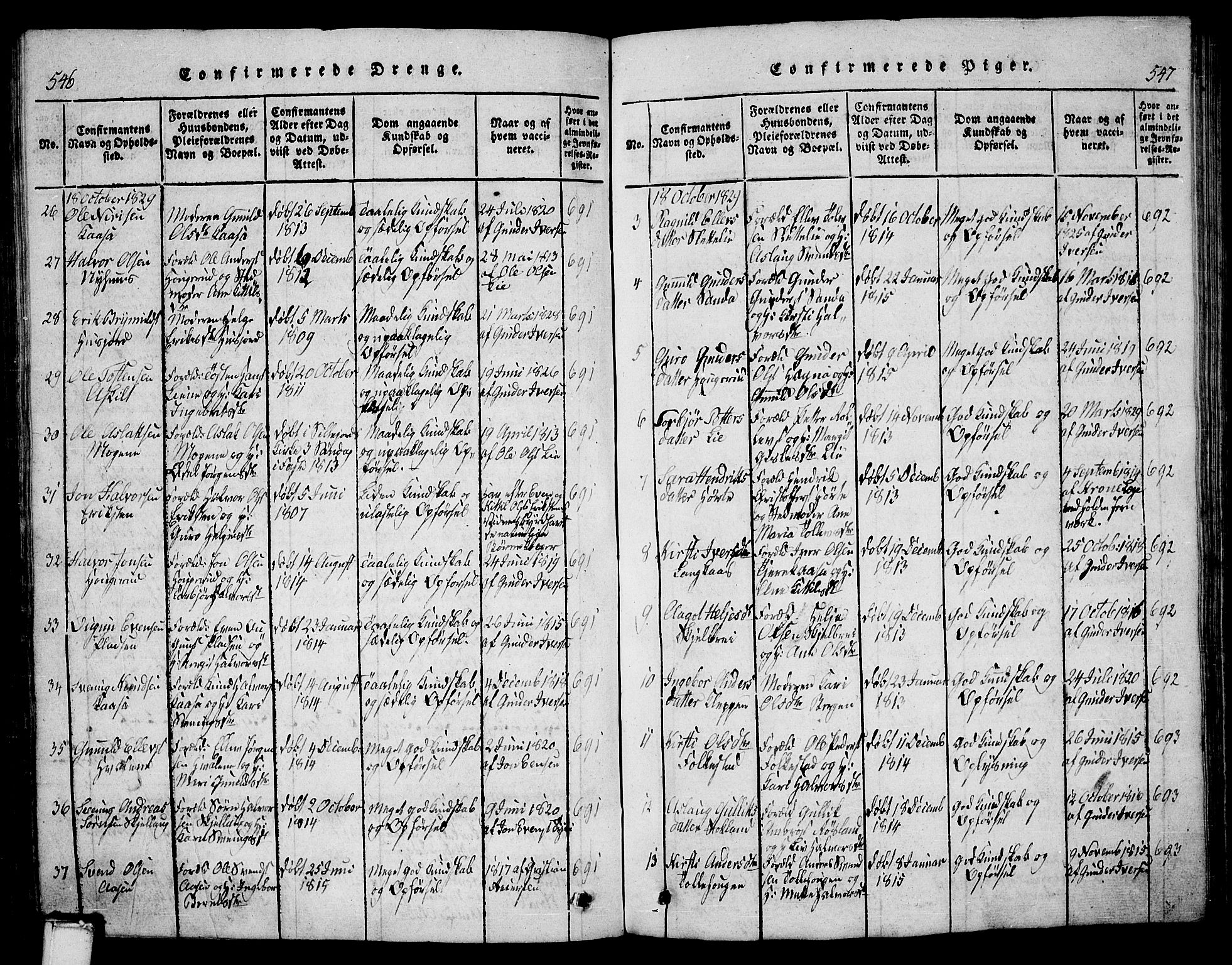 Bø kirkebøker, AV/SAKO-A-257/G/Ga/L0001: Parish register (copy) no. 1, 1815-1831, p. 546-547