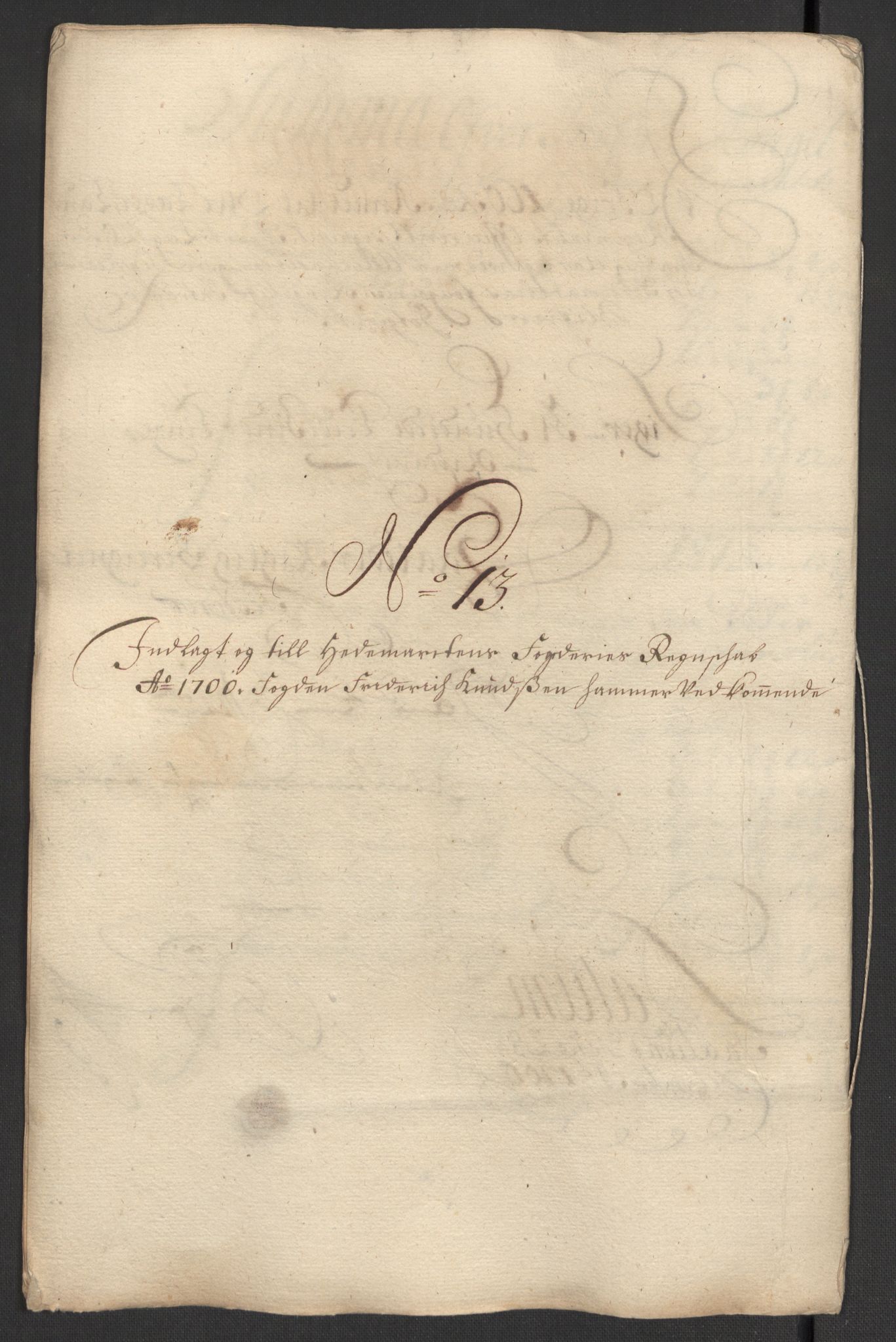 Rentekammeret inntil 1814, Reviderte regnskaper, Fogderegnskap, AV/RA-EA-4092/R16/L1039: Fogderegnskap Hedmark, 1700, p. 132