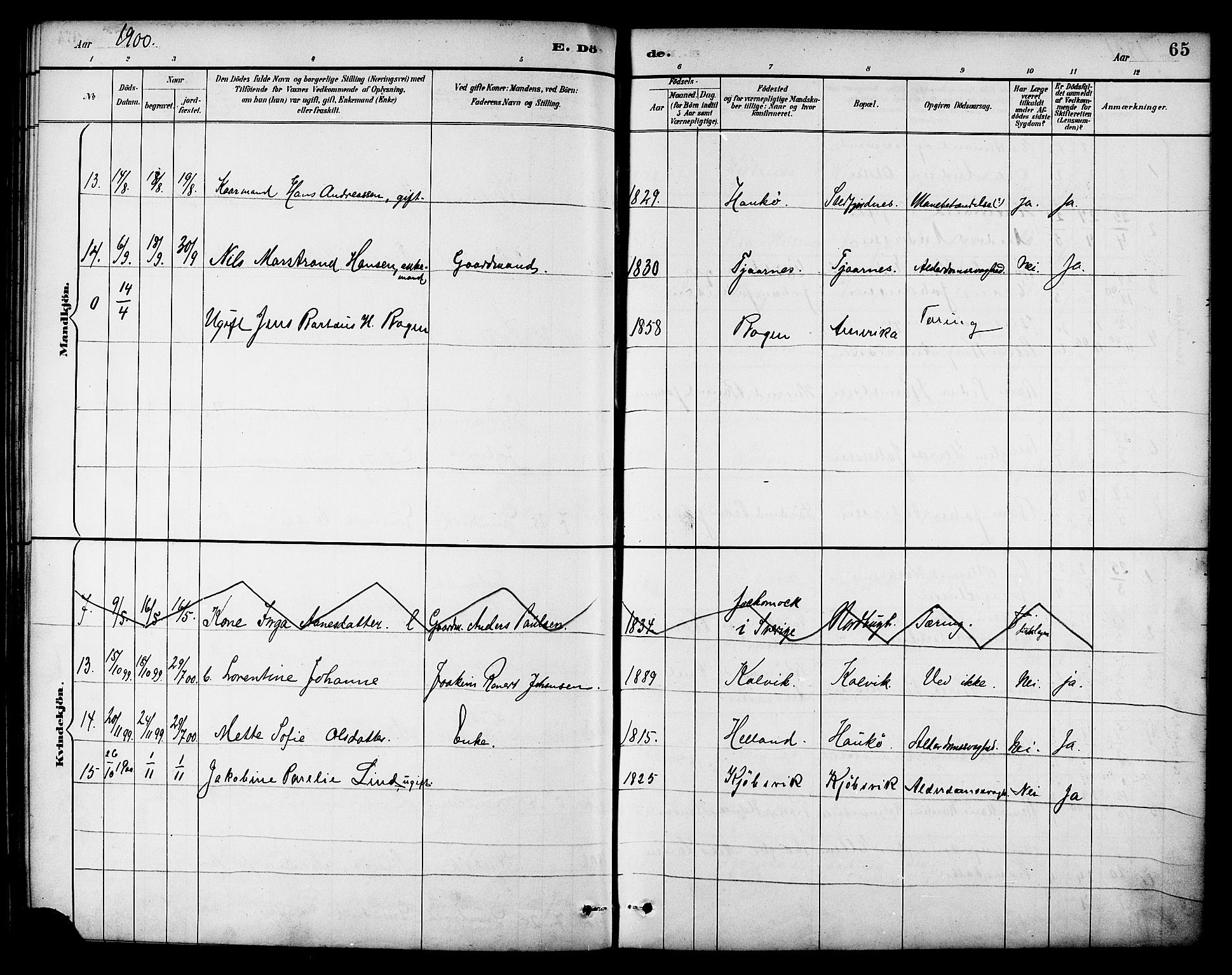 Ministerialprotokoller, klokkerbøker og fødselsregistre - Nordland, AV/SAT-A-1459/861/L0870: Parish register (official) no. 861A05, 1889-1903, p. 65