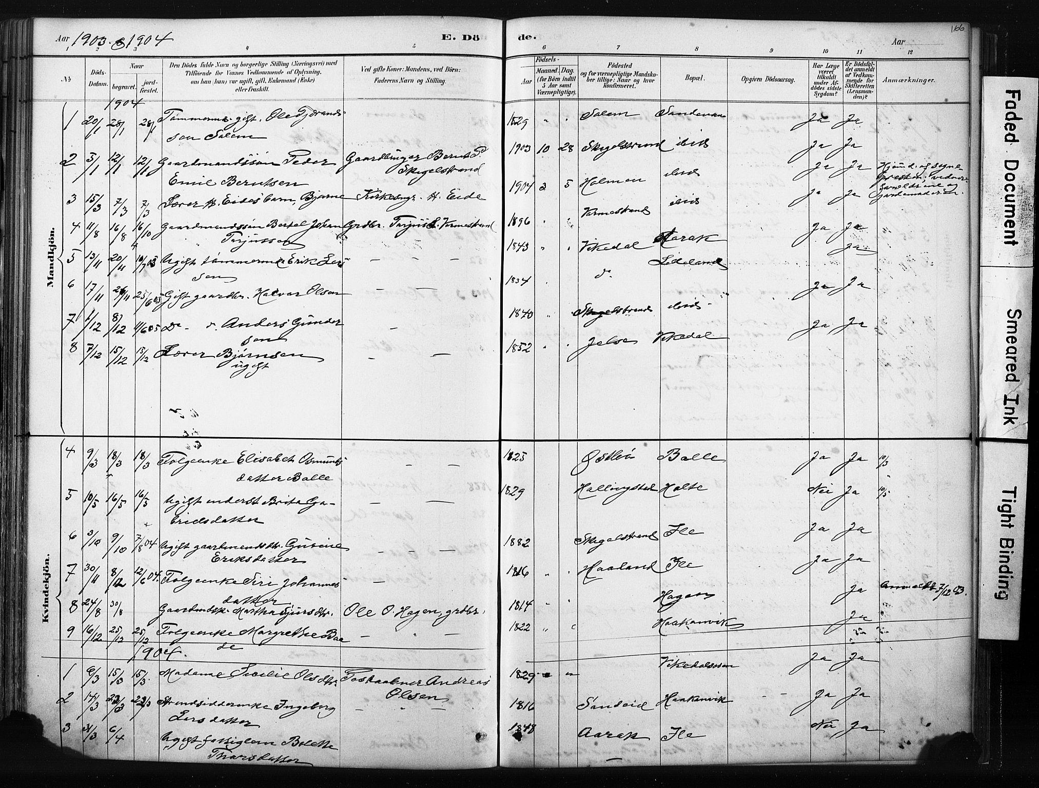 Vikedal sokneprestkontor, SAST/A-101840/01/IV: Parish register (official) no. A 10, 1884-1907, p. 166