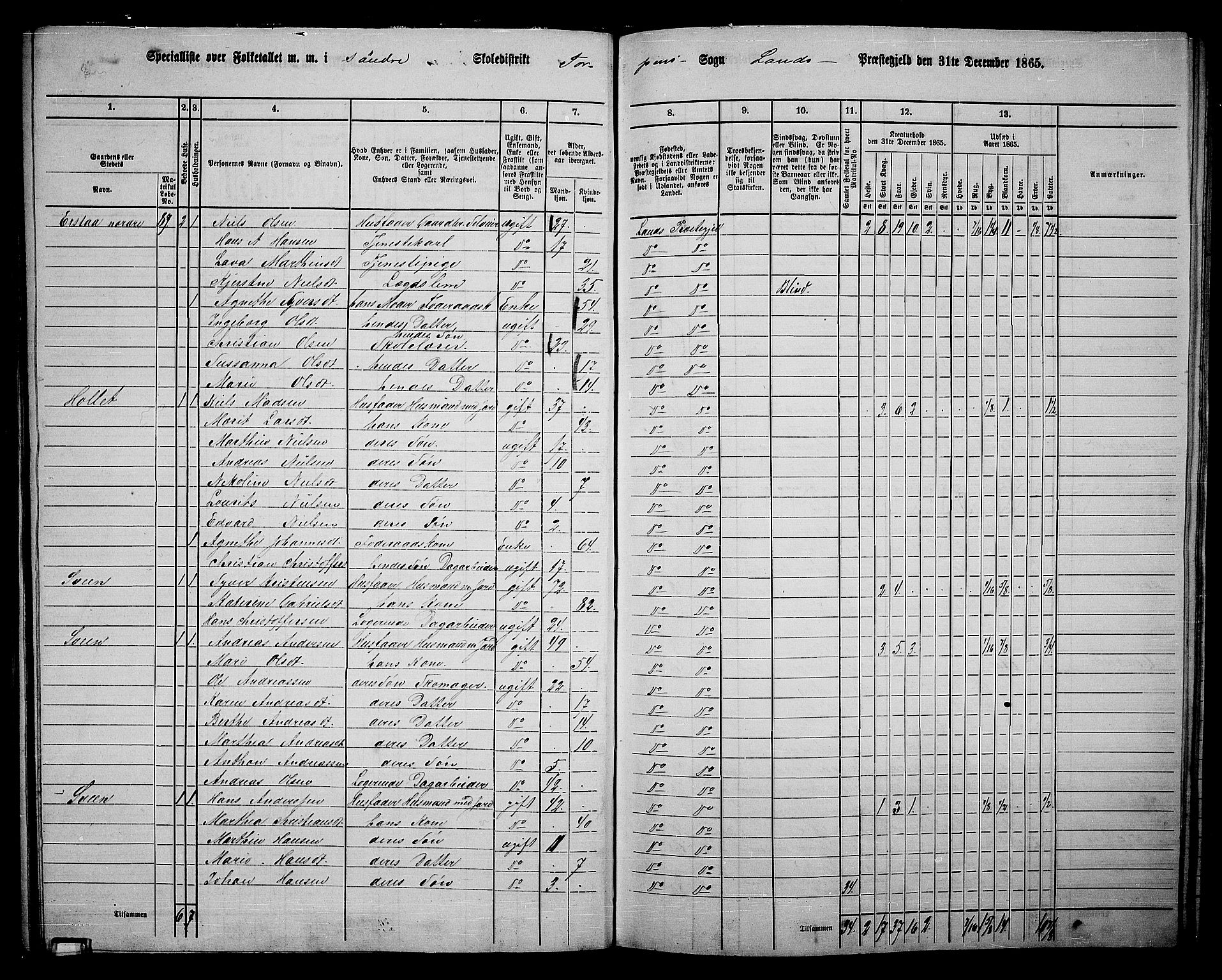 RA, 1865 census for Land, 1865, p. 90