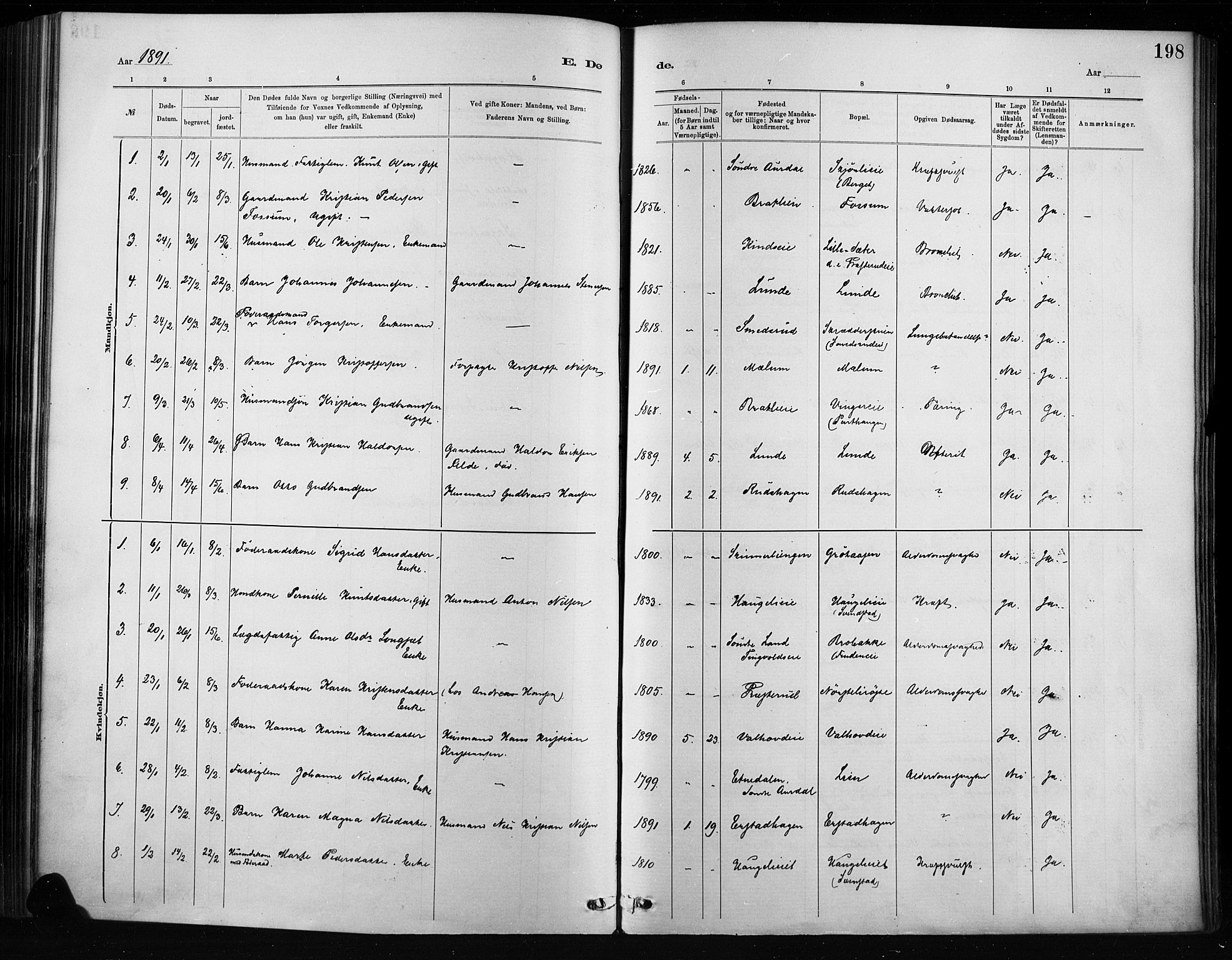 Nordre Land prestekontor, SAH/PREST-124/H/Ha/Haa/L0004: Parish register (official) no. 4, 1882-1896, p. 198