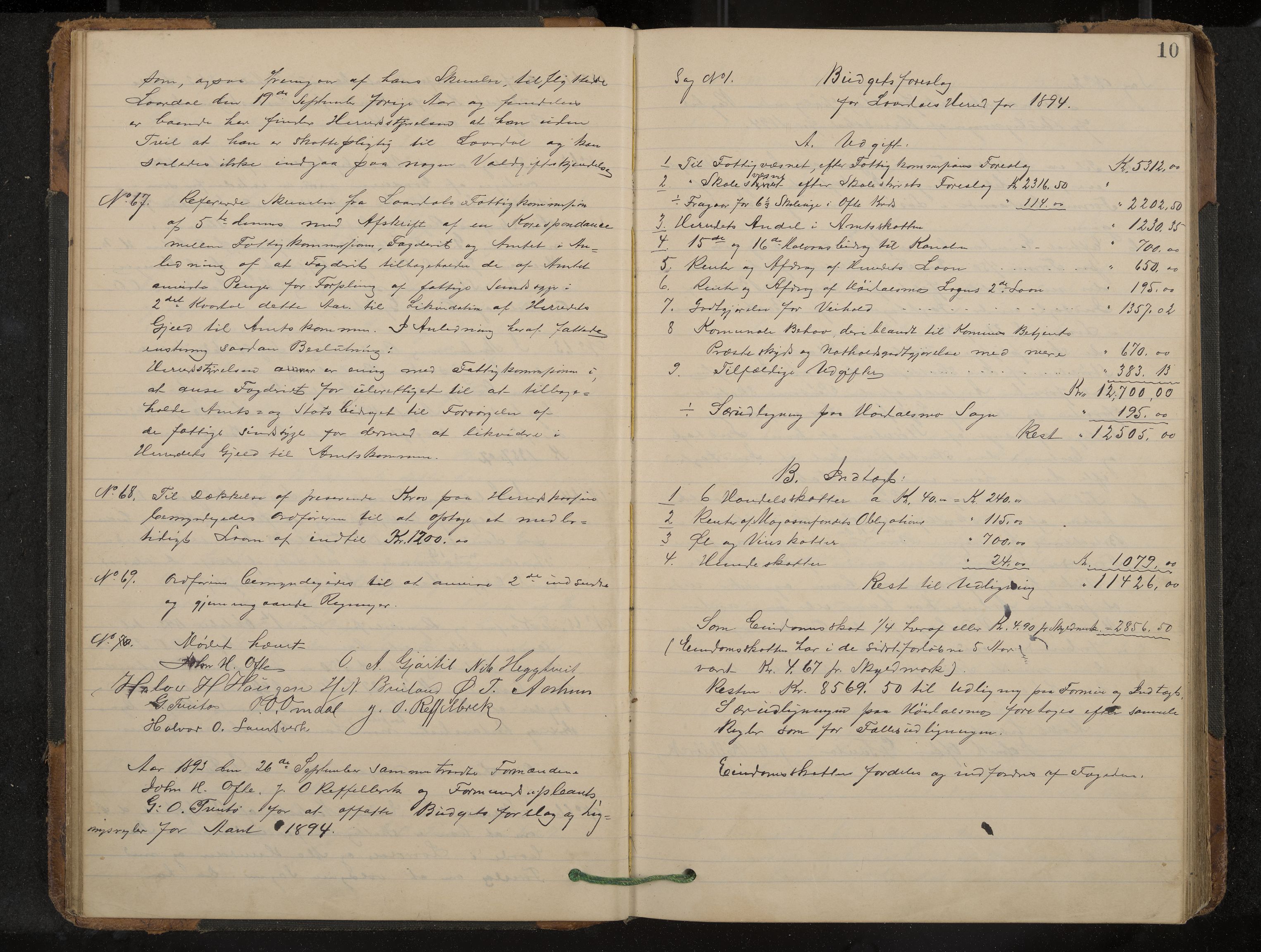 Lårdal formannskap og sentraladministrasjon, IKAK/0833021/A/L0003: Møtebok, 1893-1901, p. 10