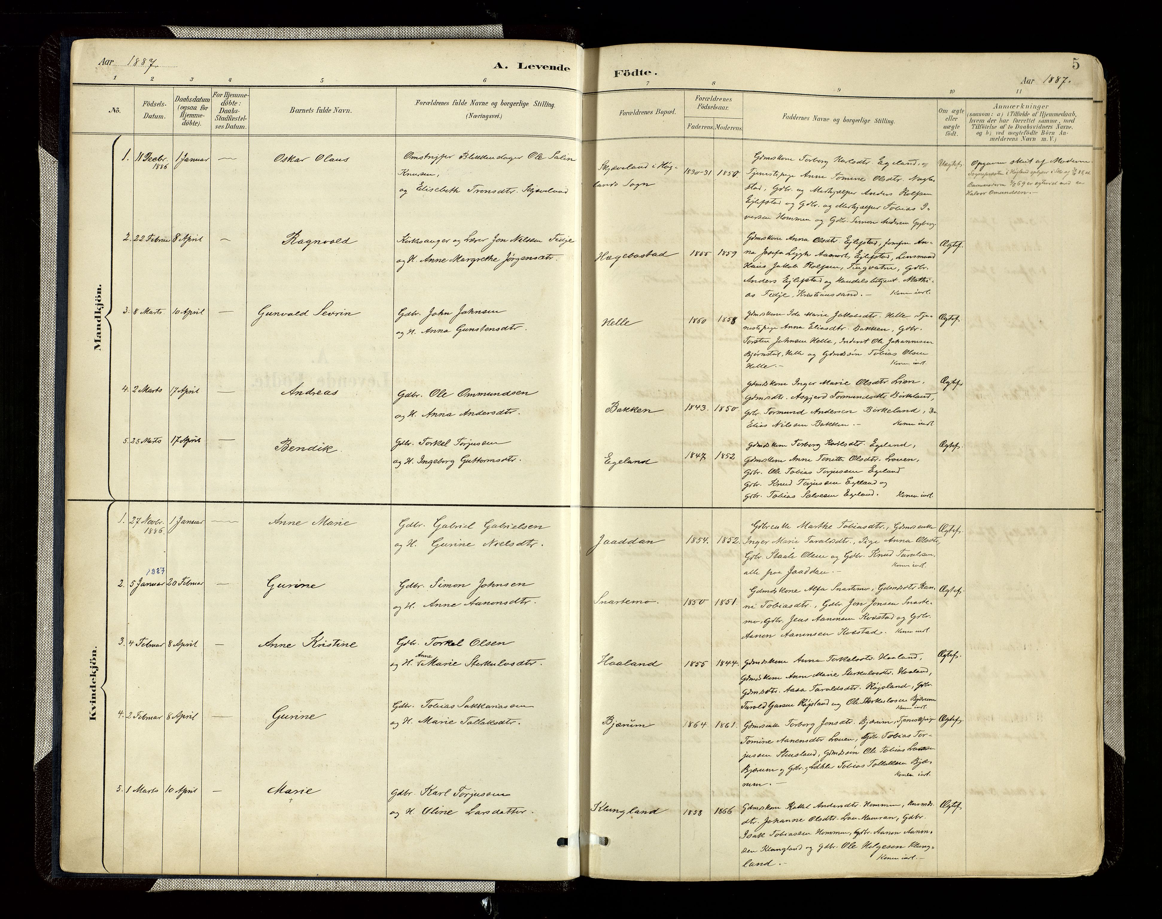 Hægebostad sokneprestkontor, SAK/1111-0024/F/Fa/Faa/L0006: Parish register (official) no. A 6, 1887-1929, p. 5