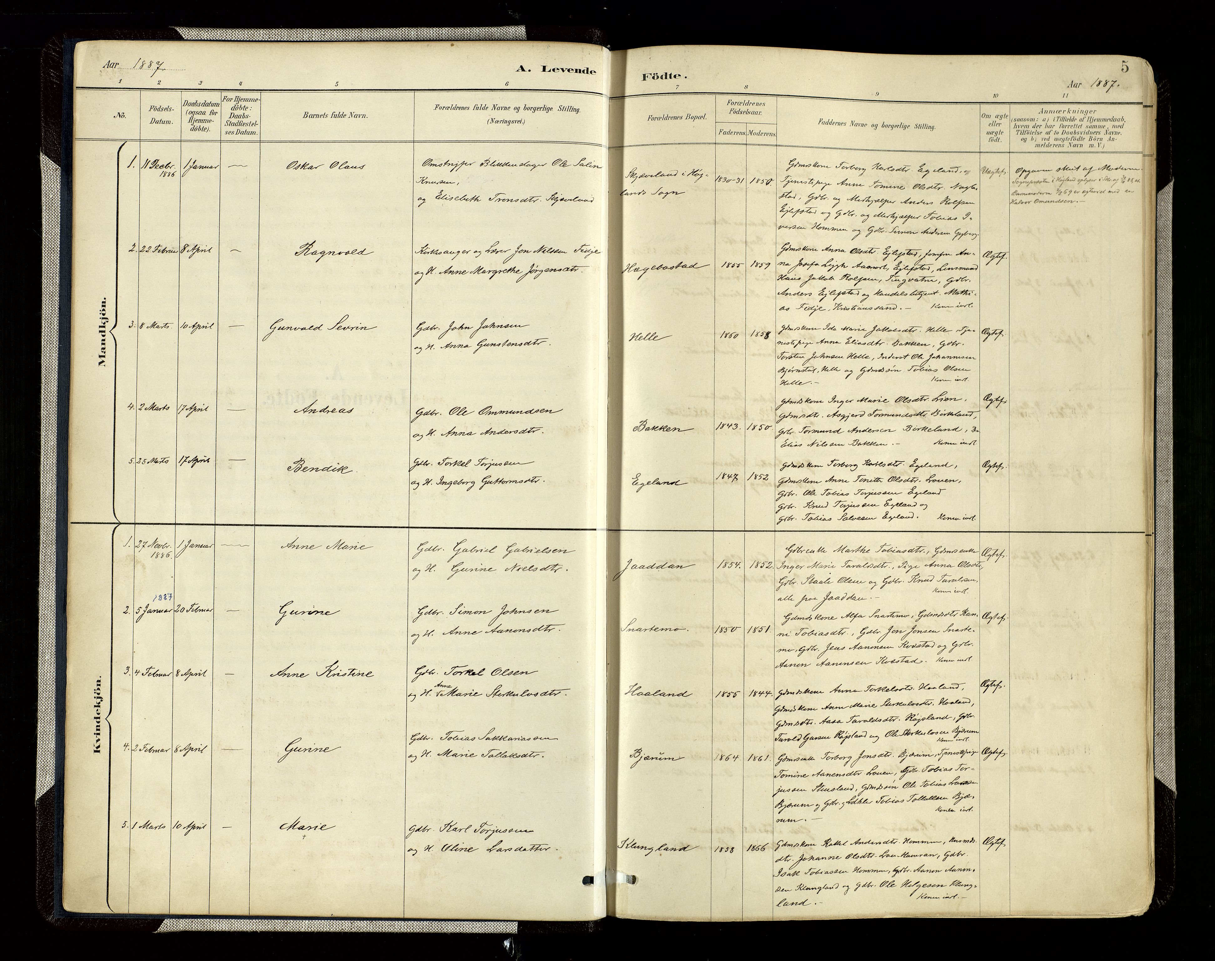 Hægebostad sokneprestkontor, AV/SAK-1111-0024/F/Fa/Faa/L0006: Parish register (official) no. A 6, 1887-1929, p. 5