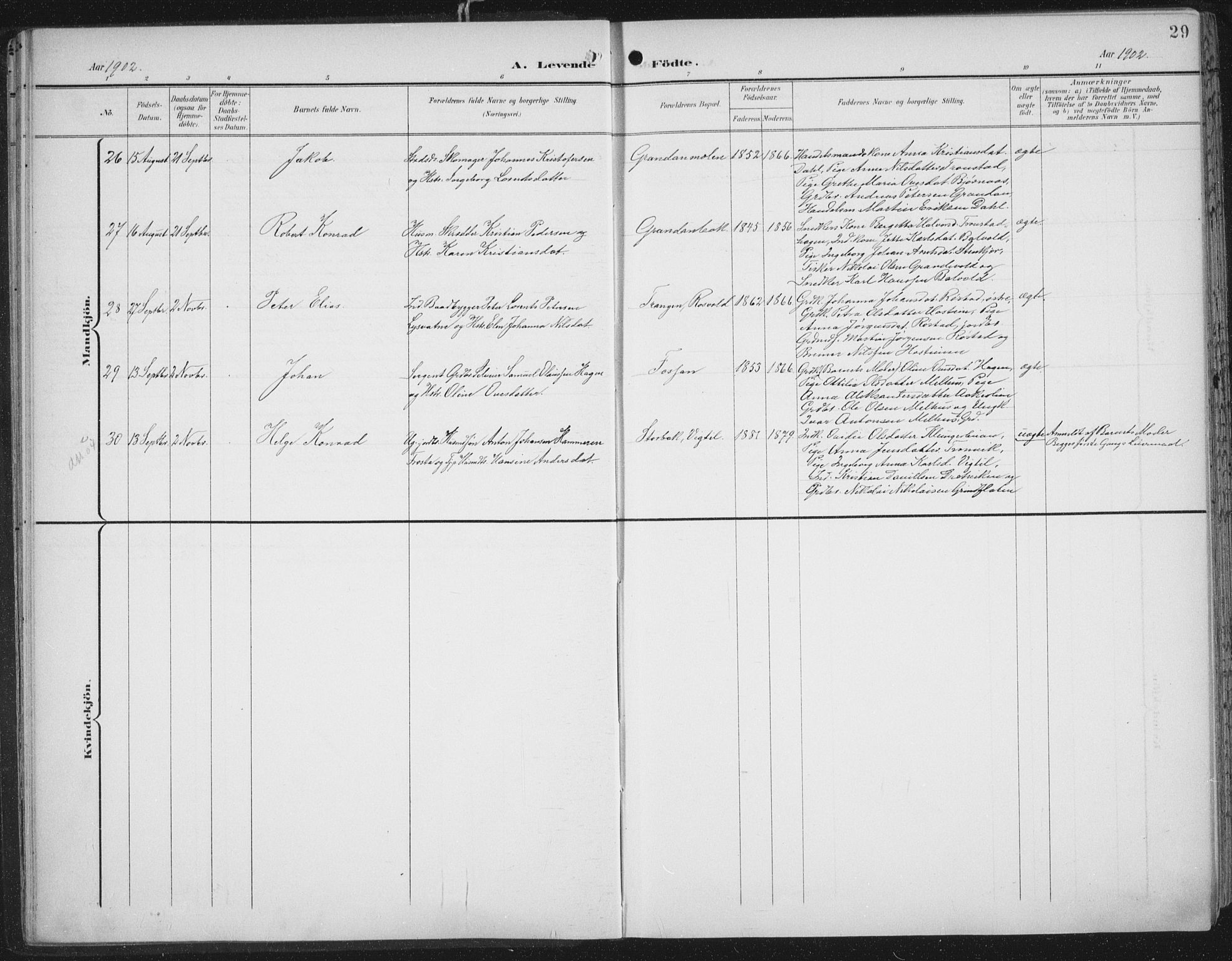 Ministerialprotokoller, klokkerbøker og fødselsregistre - Nord-Trøndelag, AV/SAT-A-1458/701/L0011: Parish register (official) no. 701A11, 1899-1915, p. 29