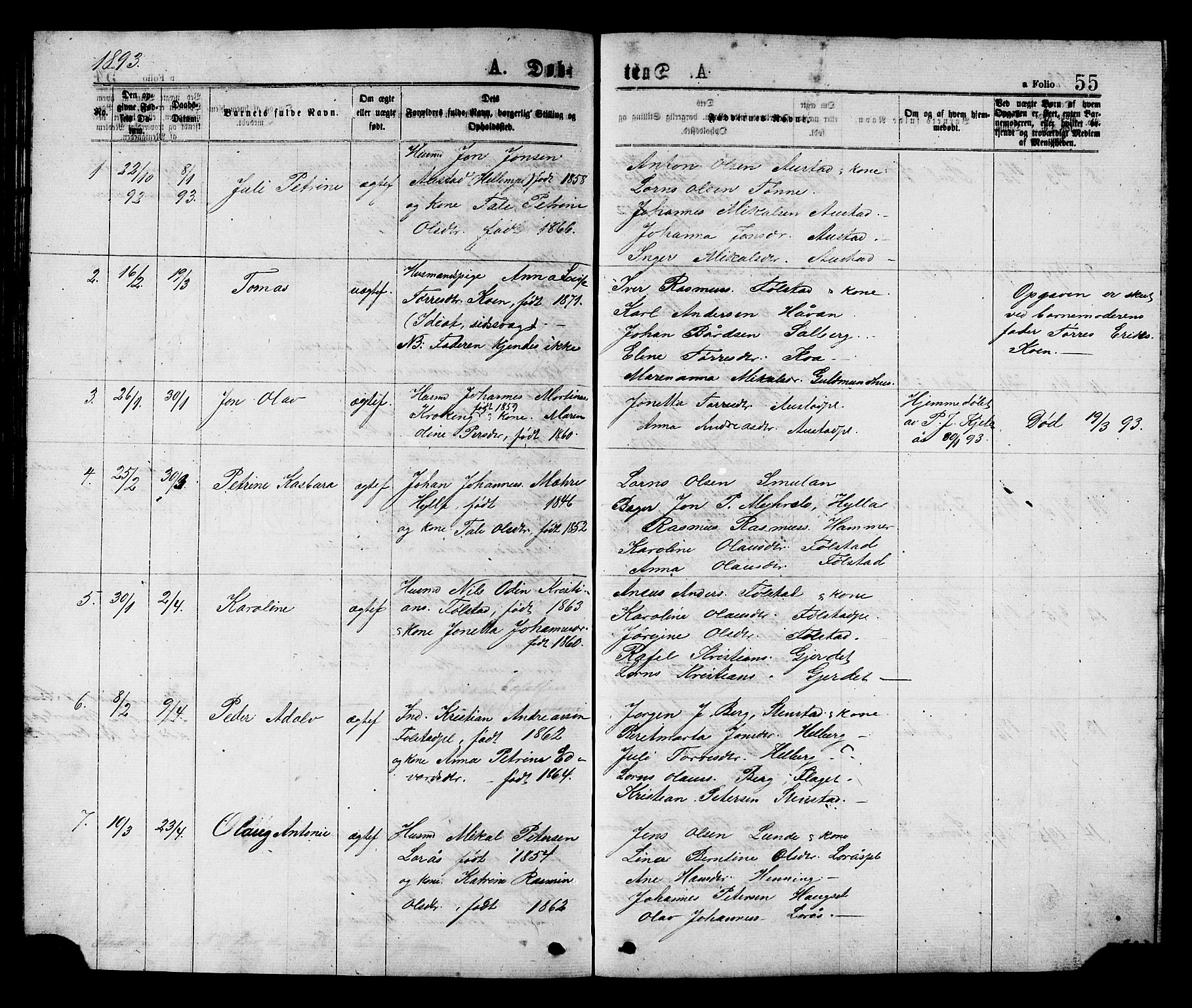 Ministerialprotokoller, klokkerbøker og fødselsregistre - Nord-Trøndelag, SAT/A-1458/731/L0311: Parish register (copy) no. 731C02, 1875-1911, p. 55