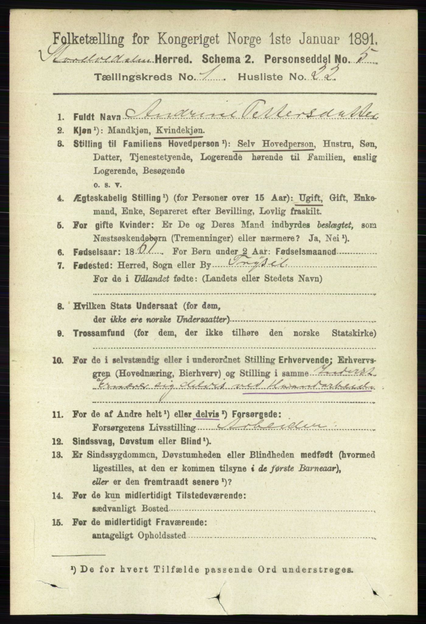 RA, 1891 census for 0430 Stor-Elvdal, 1891, p. 222