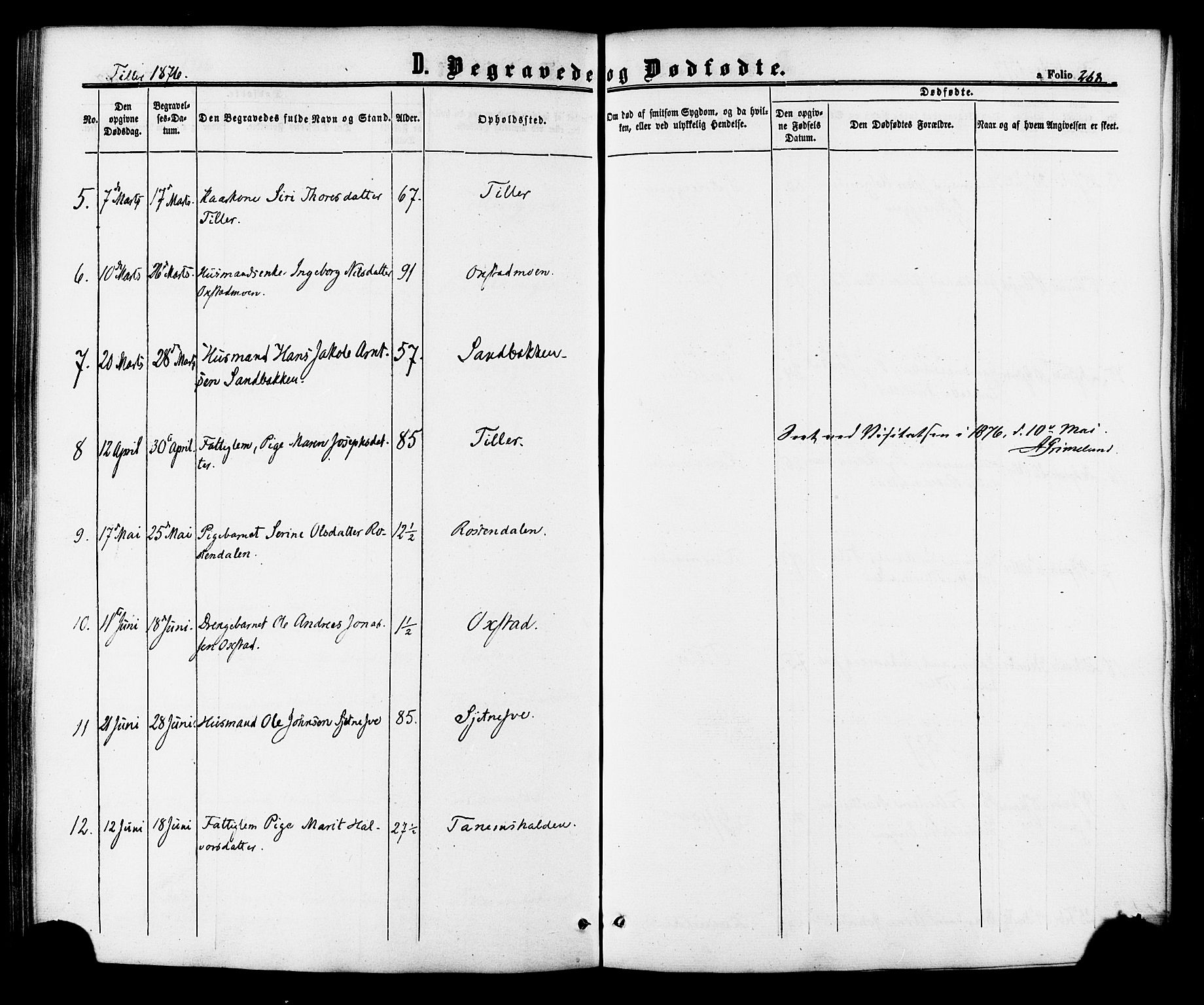 Ministerialprotokoller, klokkerbøker og fødselsregistre - Sør-Trøndelag, AV/SAT-A-1456/618/L0443: Parish register (official) no. 618A06 /2, 1863-1879, p. 268