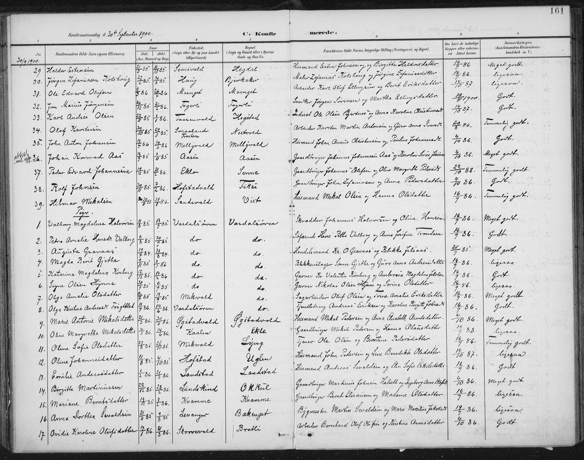Ministerialprotokoller, klokkerbøker og fødselsregistre - Nord-Trøndelag, SAT/A-1458/723/L0246: Parish register (official) no. 723A15, 1900-1917, p. 161