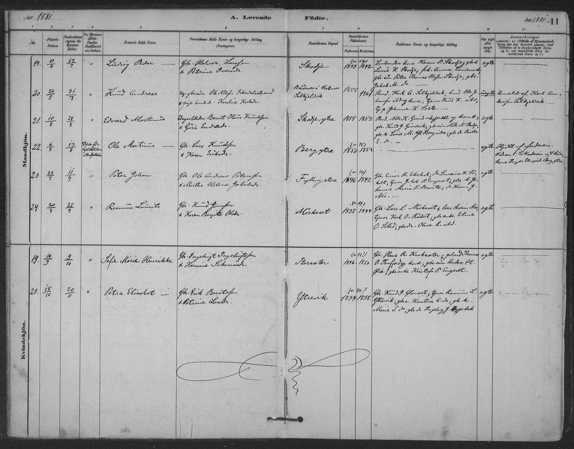 Ministerialprotokoller, klokkerbøker og fødselsregistre - Møre og Romsdal, AV/SAT-A-1454/524/L0356: Parish register (official) no. 524A08, 1880-1899, p. 11