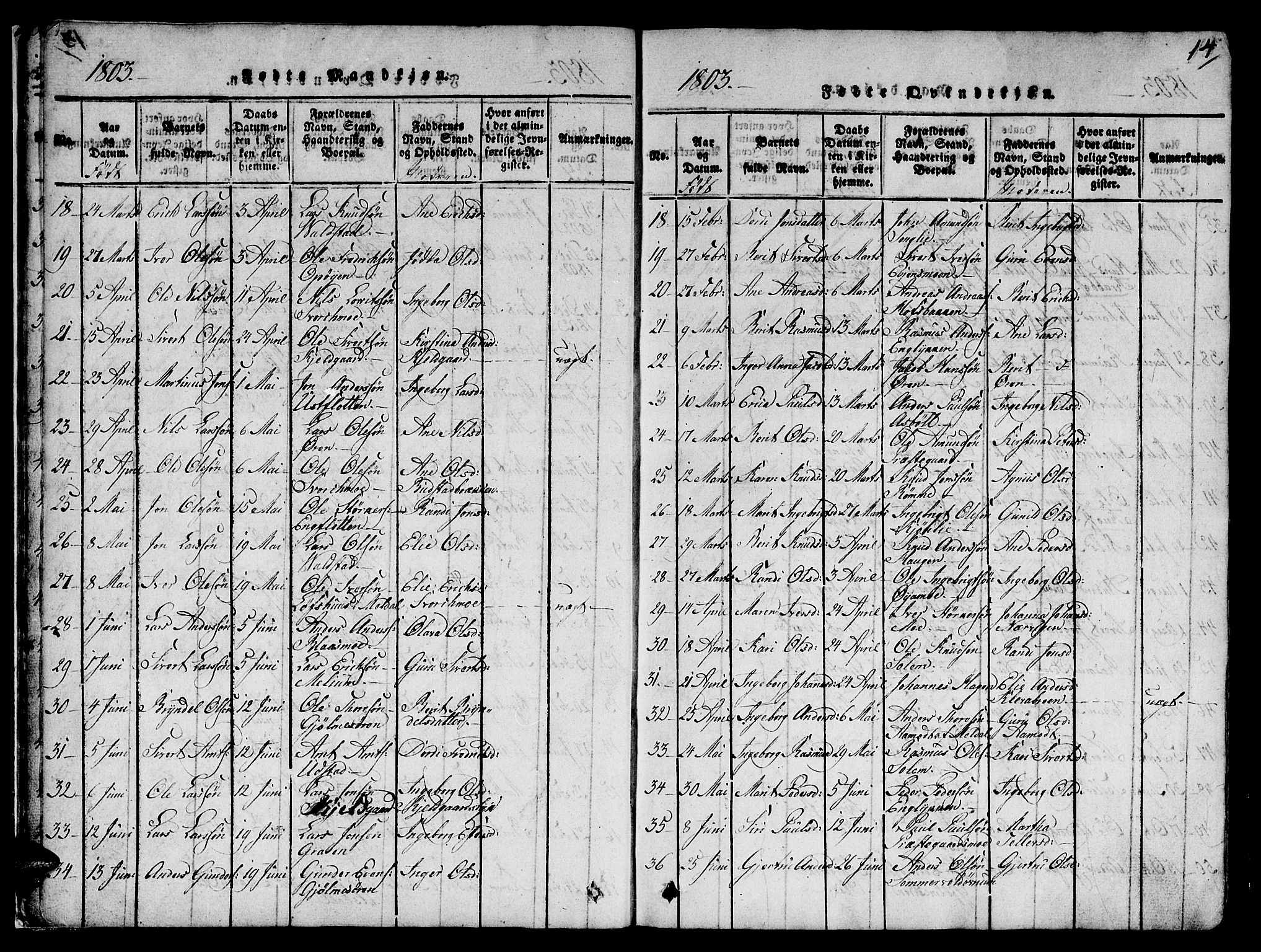 Ministerialprotokoller, klokkerbøker og fødselsregistre - Sør-Trøndelag, SAT/A-1456/668/L0803: Parish register (official) no. 668A03, 1800-1826, p. 14