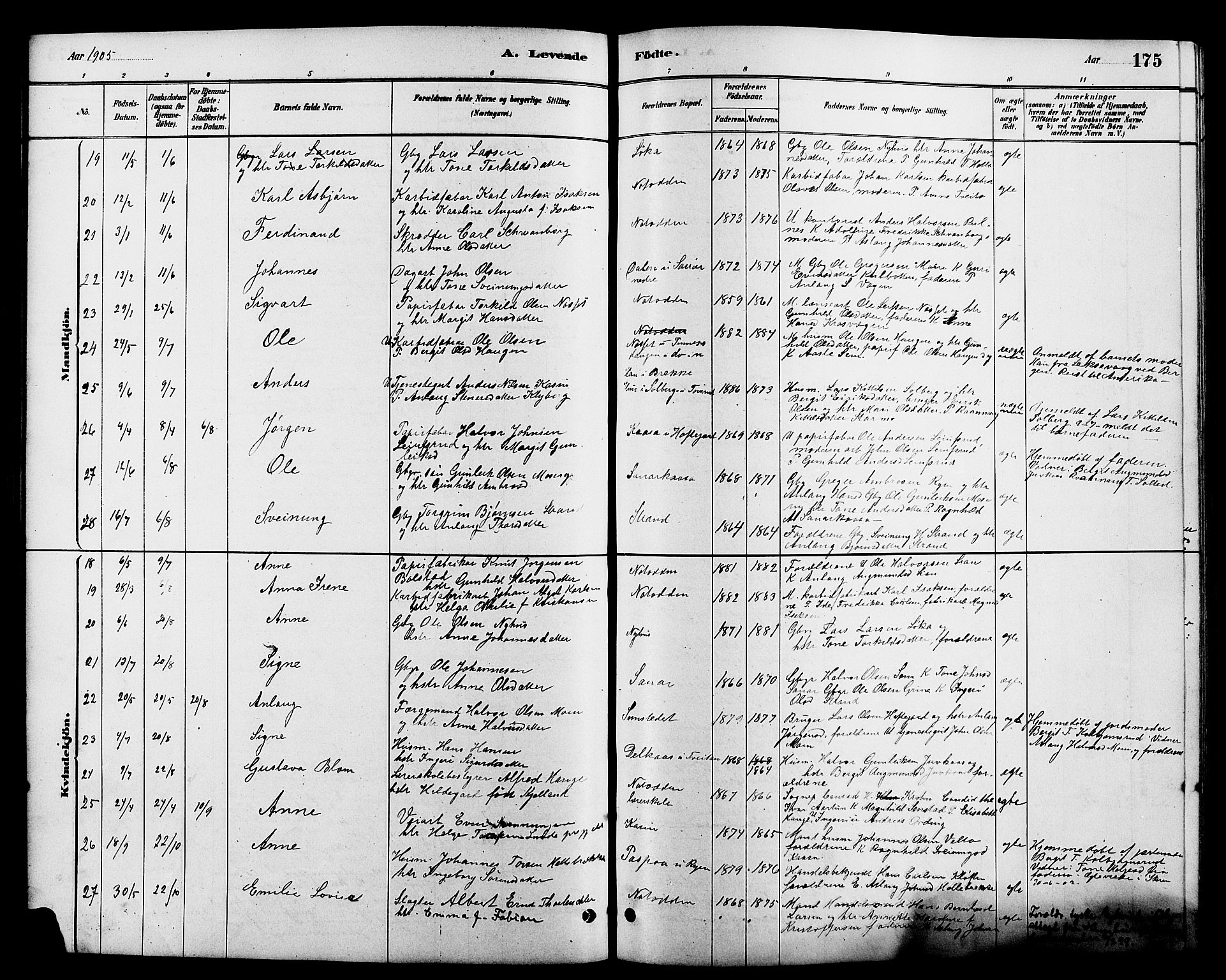 Heddal kirkebøker, SAKO/A-268/G/Ga/L0002: Parish register (copy) no. I 2, 1879-1908, p. 175