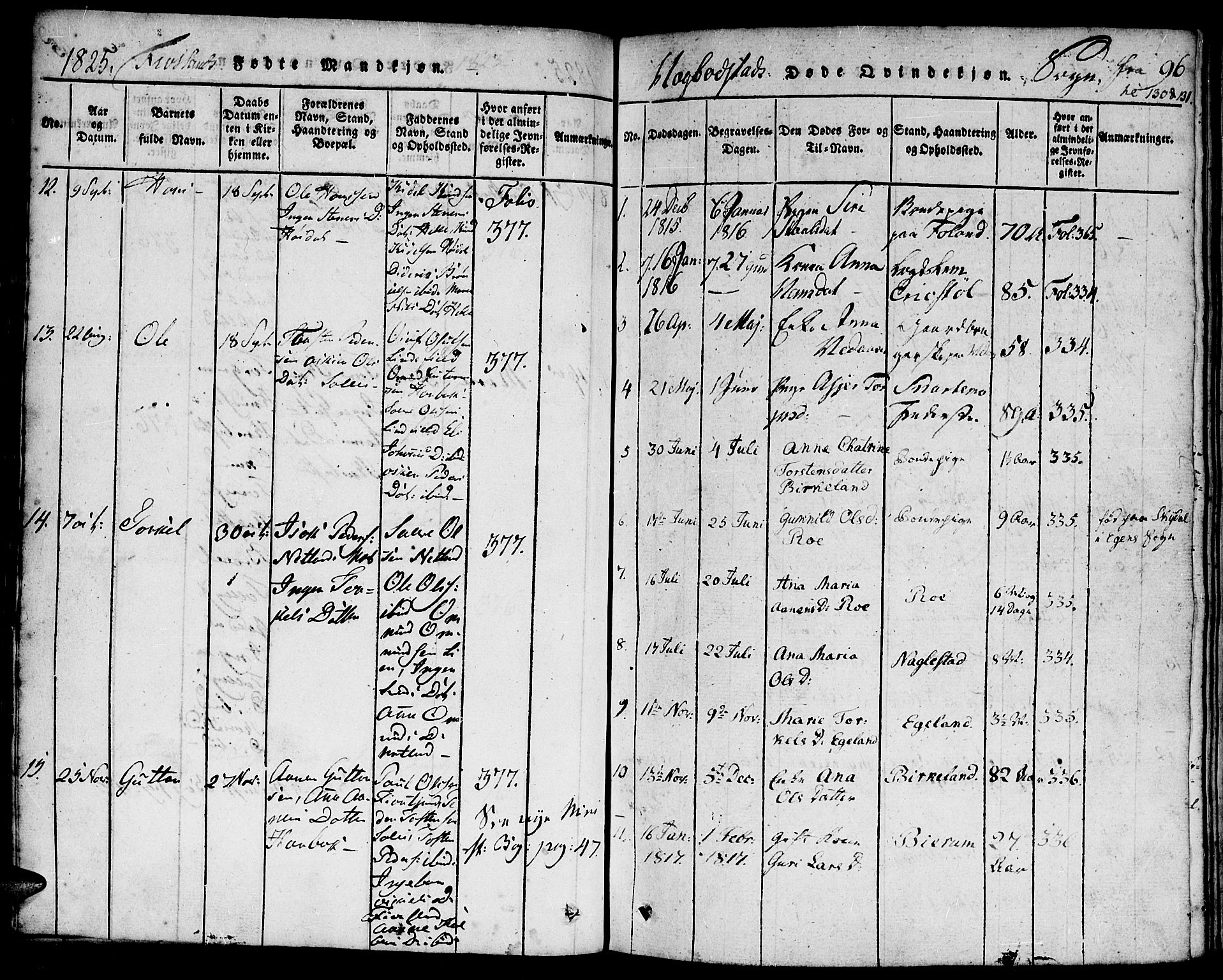 Hægebostad sokneprestkontor, SAK/1111-0024/F/Fa/Faa/L0002: Parish register (official) no. A 2 /1, 1816-1825, p. 96