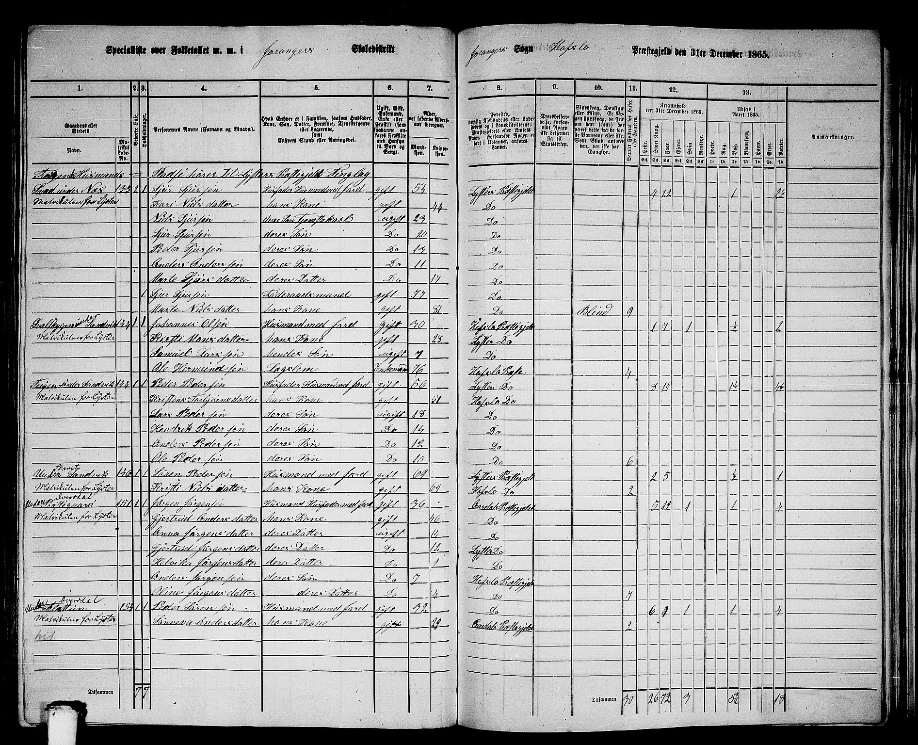 RA, 1865 census for Hafslo, 1865, p. 133