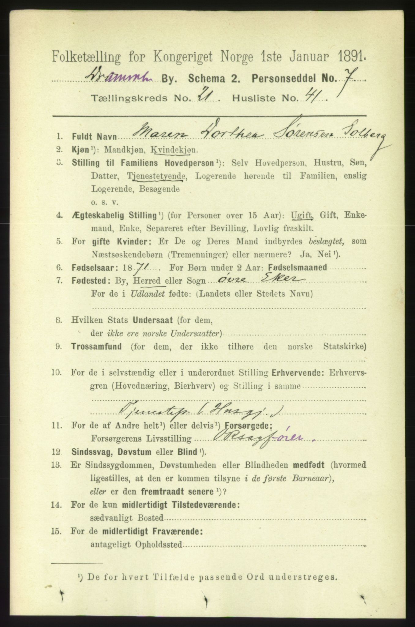 RA, 1891 census for 0602 Drammen, 1891, p. 13534