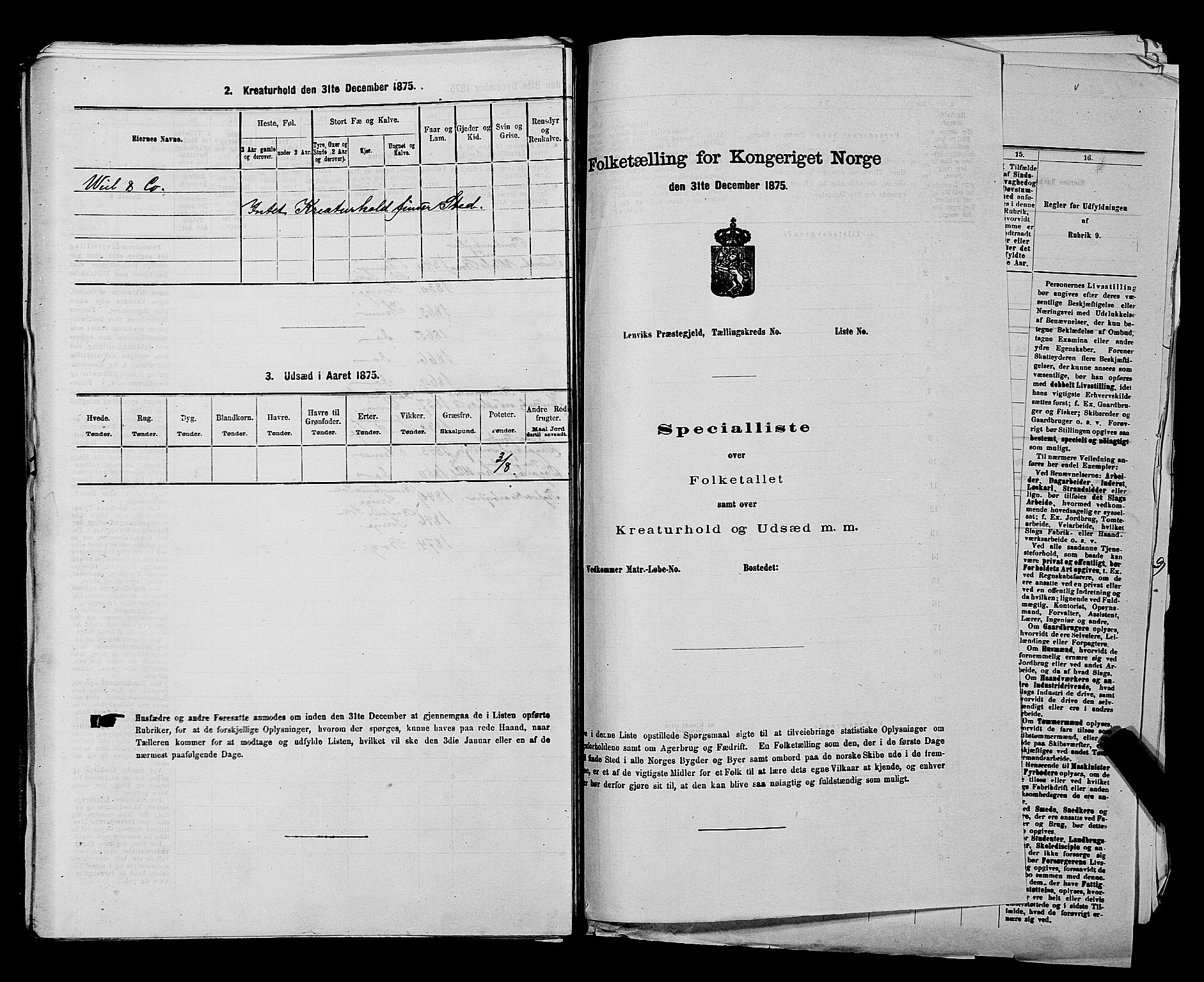 RA, 1875 census for 0113P Borge, 1875, p. 513