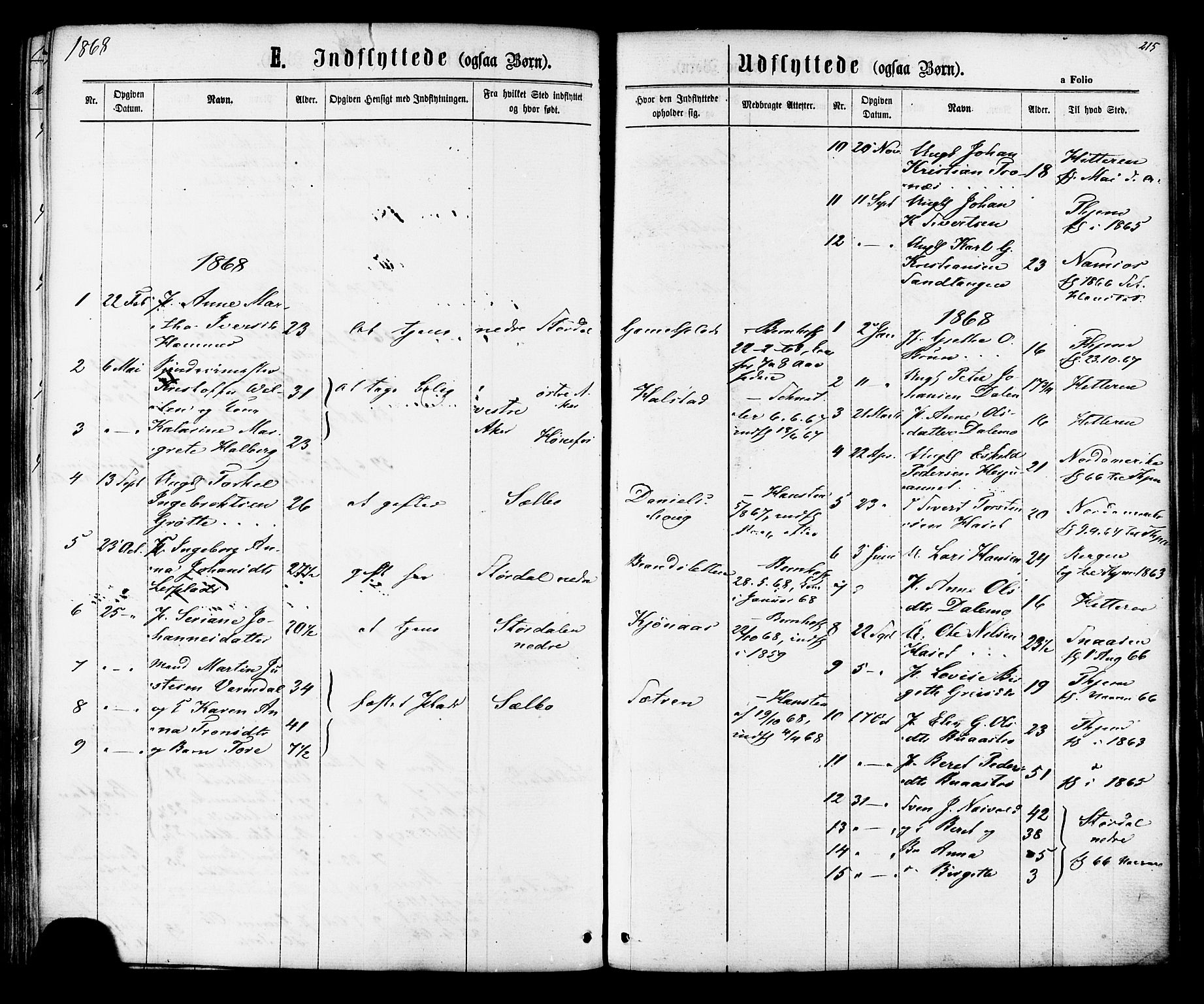 Ministerialprotokoller, klokkerbøker og fødselsregistre - Sør-Trøndelag, SAT/A-1456/616/L0409: Parish register (official) no. 616A06, 1865-1877, p. 215