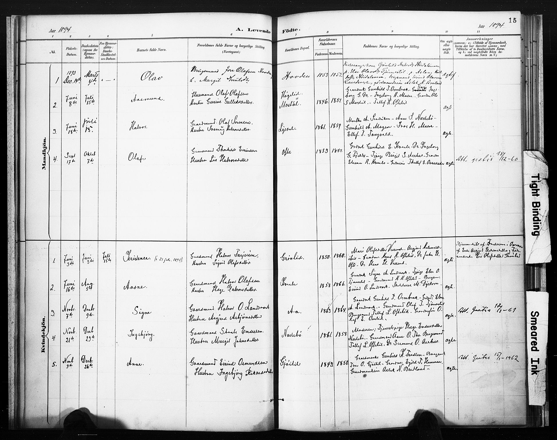 Lårdal kirkebøker, SAKO/A-284/F/Fc/L0002: Parish register (official) no. III 2, 1887-1906, p. 15