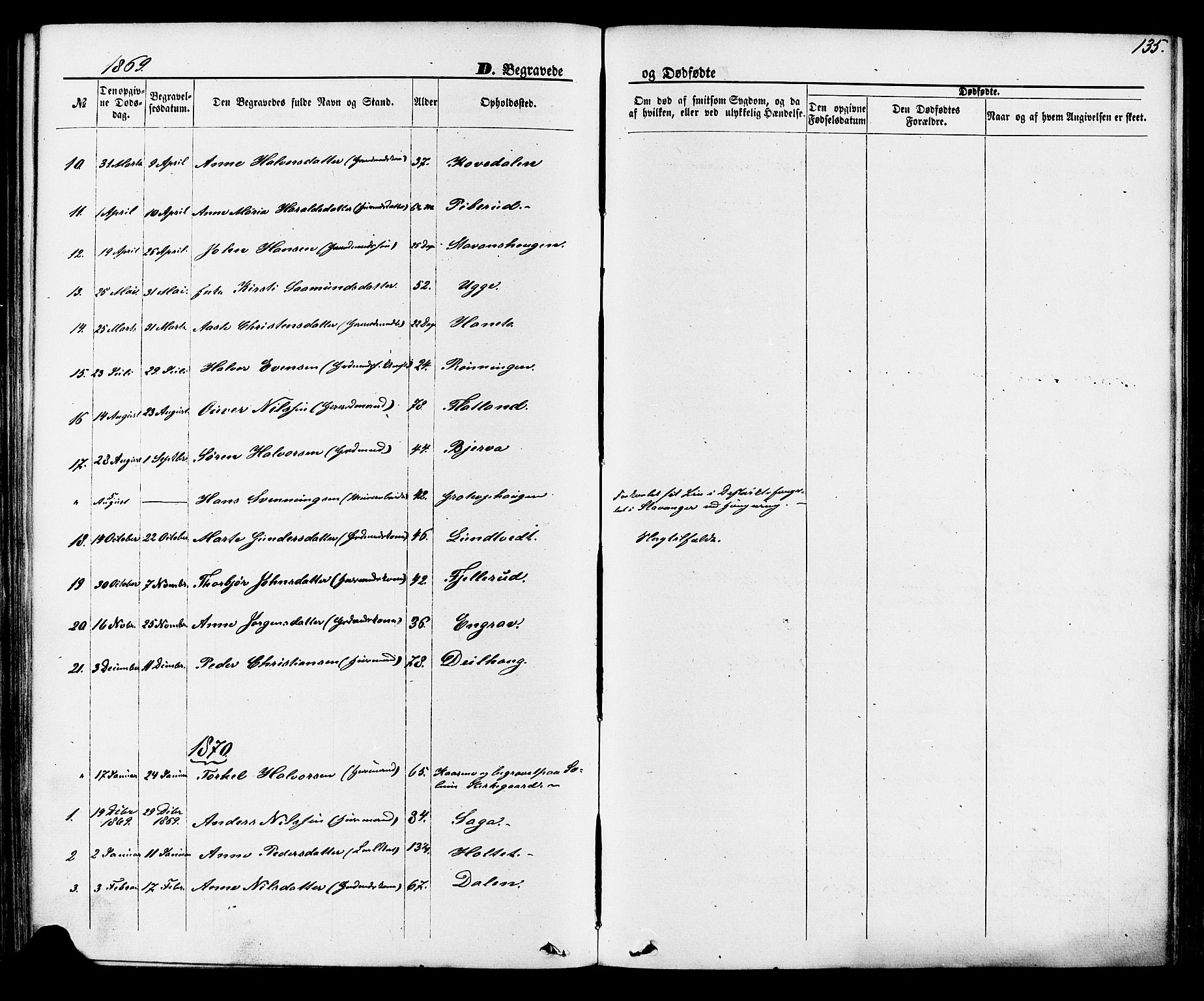 Lunde kirkebøker, SAKO/A-282/F/Fa/L0001: Parish register (official) no. I 1, 1866-1883, p. 135