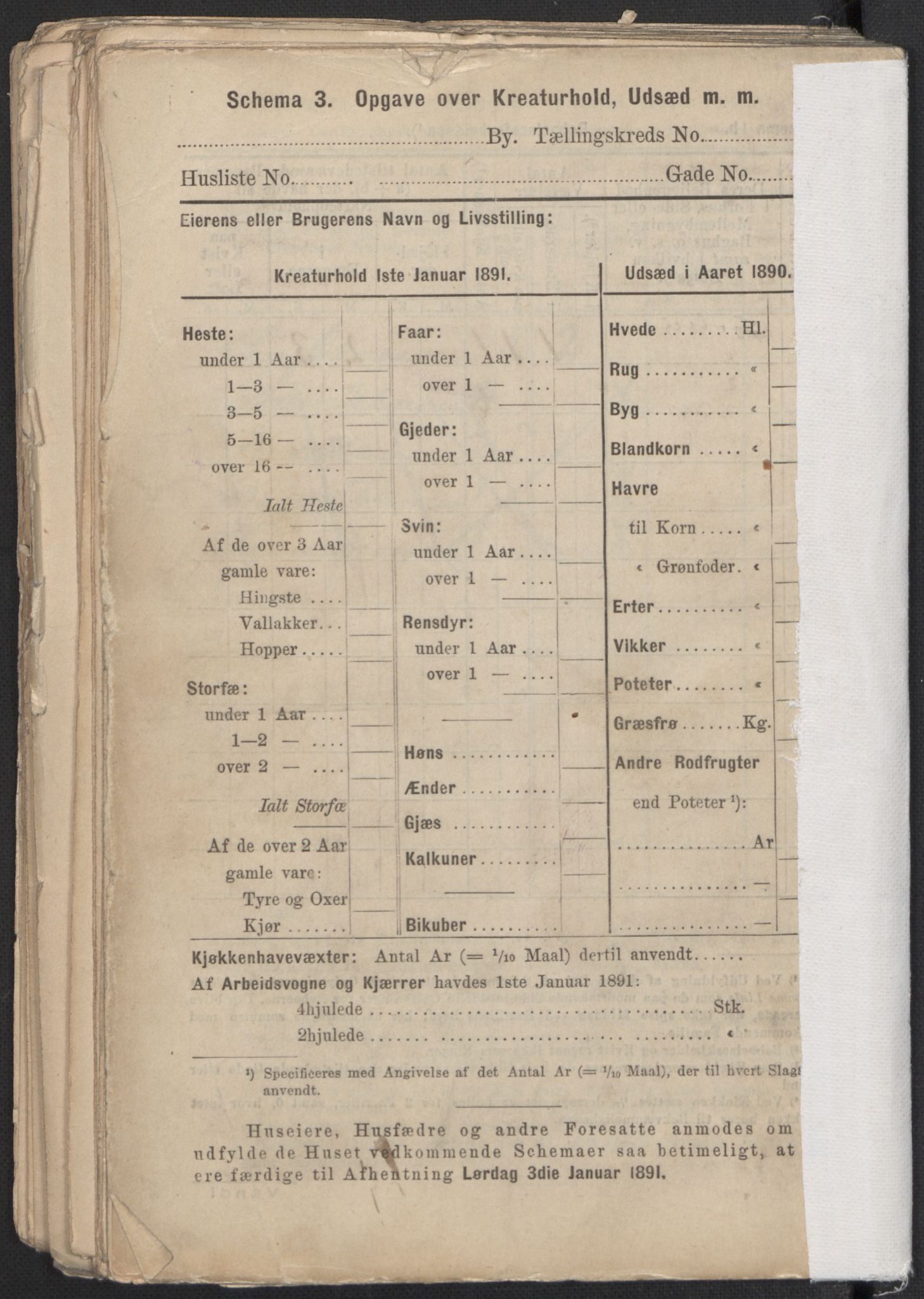 RA, 1891 Census for 1301 Bergen, 1891, p. 8855