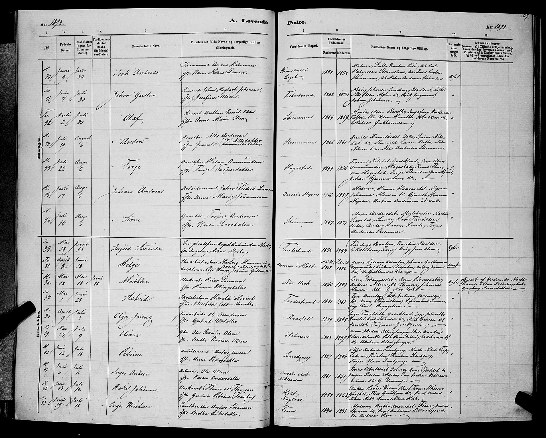 Holt sokneprestkontor, AV/SAK-1111-0021/F/Fb/L0010: Parish register (copy) no. B 10, 1883-1896, p. 107