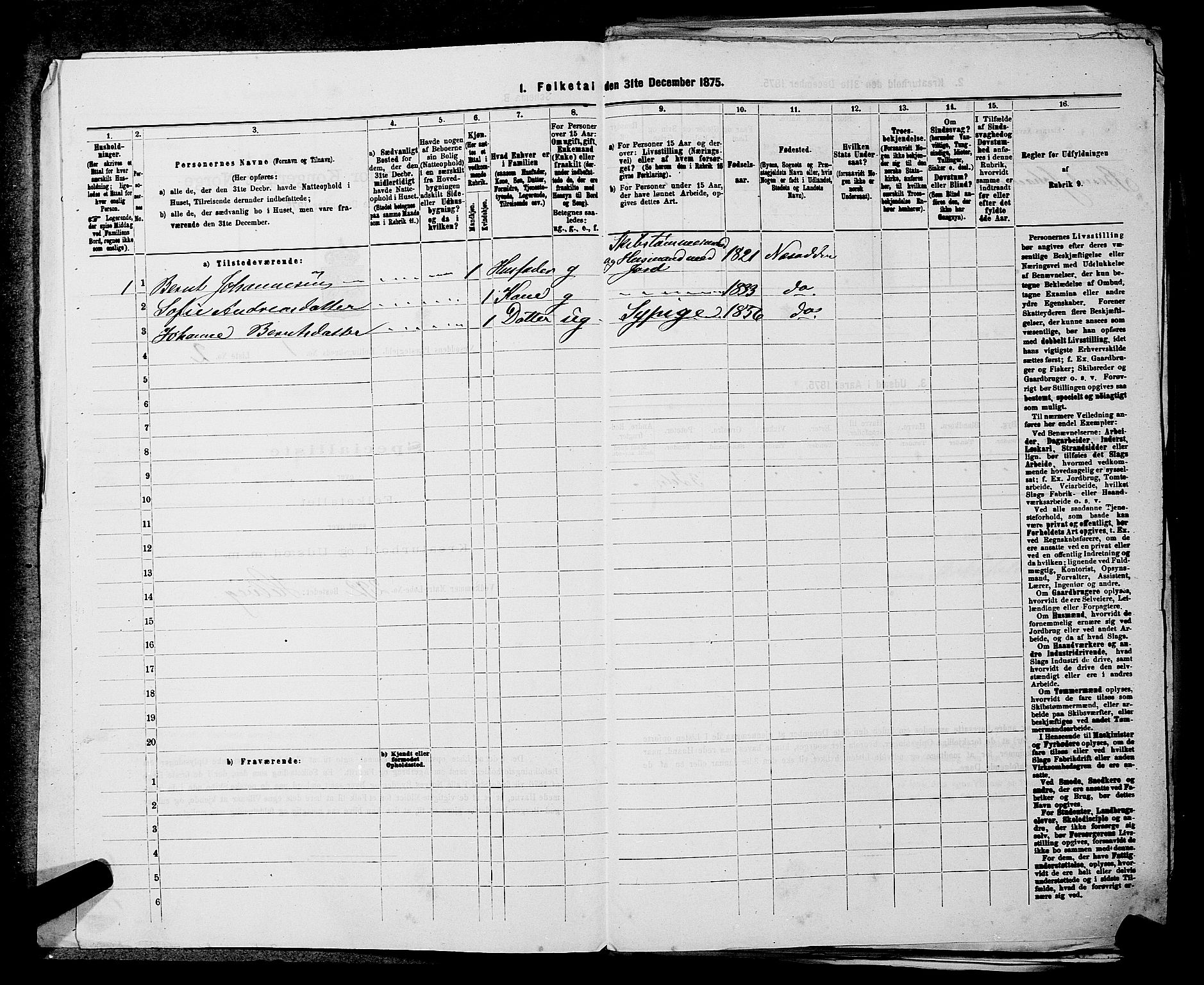 RA, 1875 census for 0216P Nesodden, 1875, p. 25