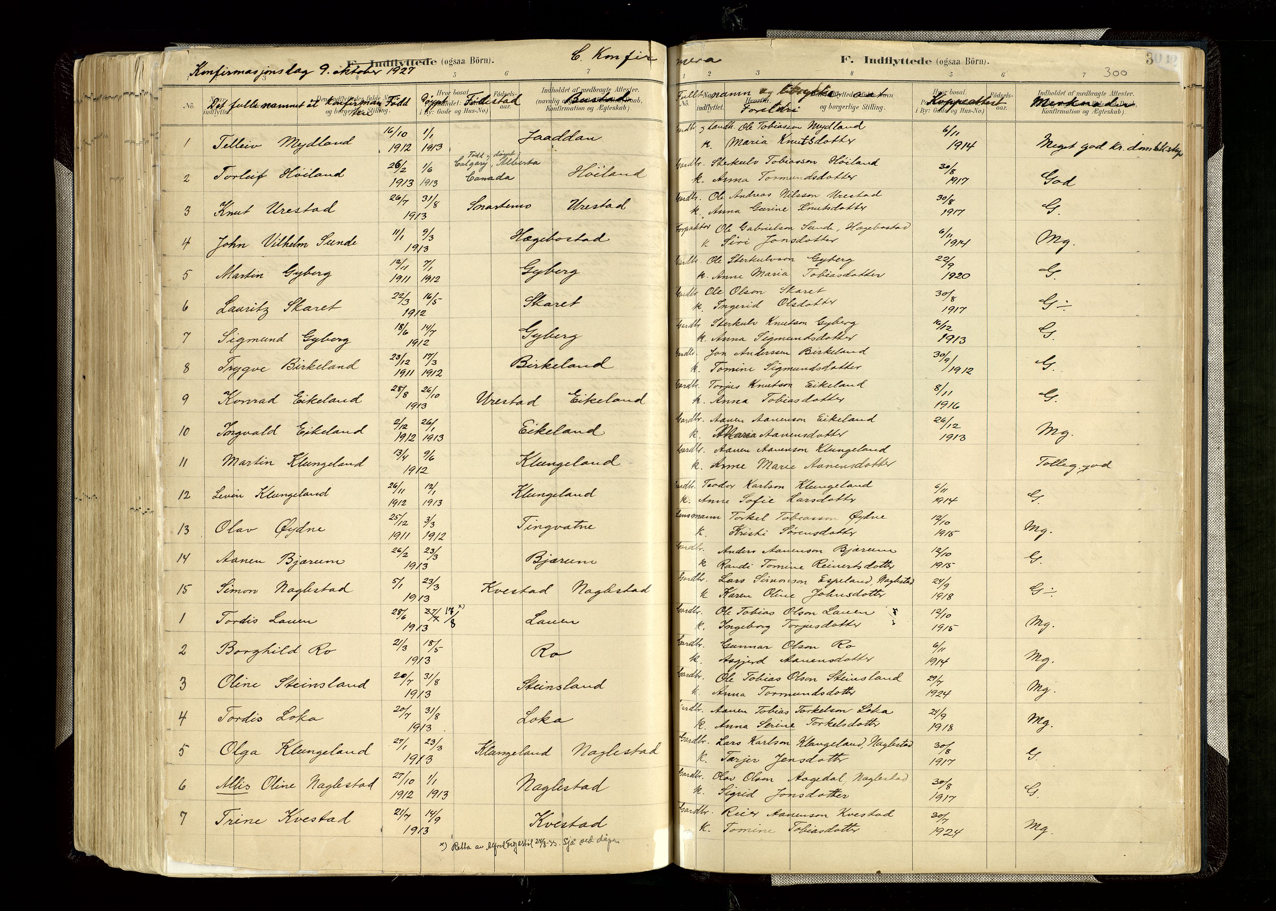 Hægebostad sokneprestkontor, SAK/1111-0024/F/Fa/Faa/L0006: Parish register (official) no. A 6, 1887-1929, p. 300