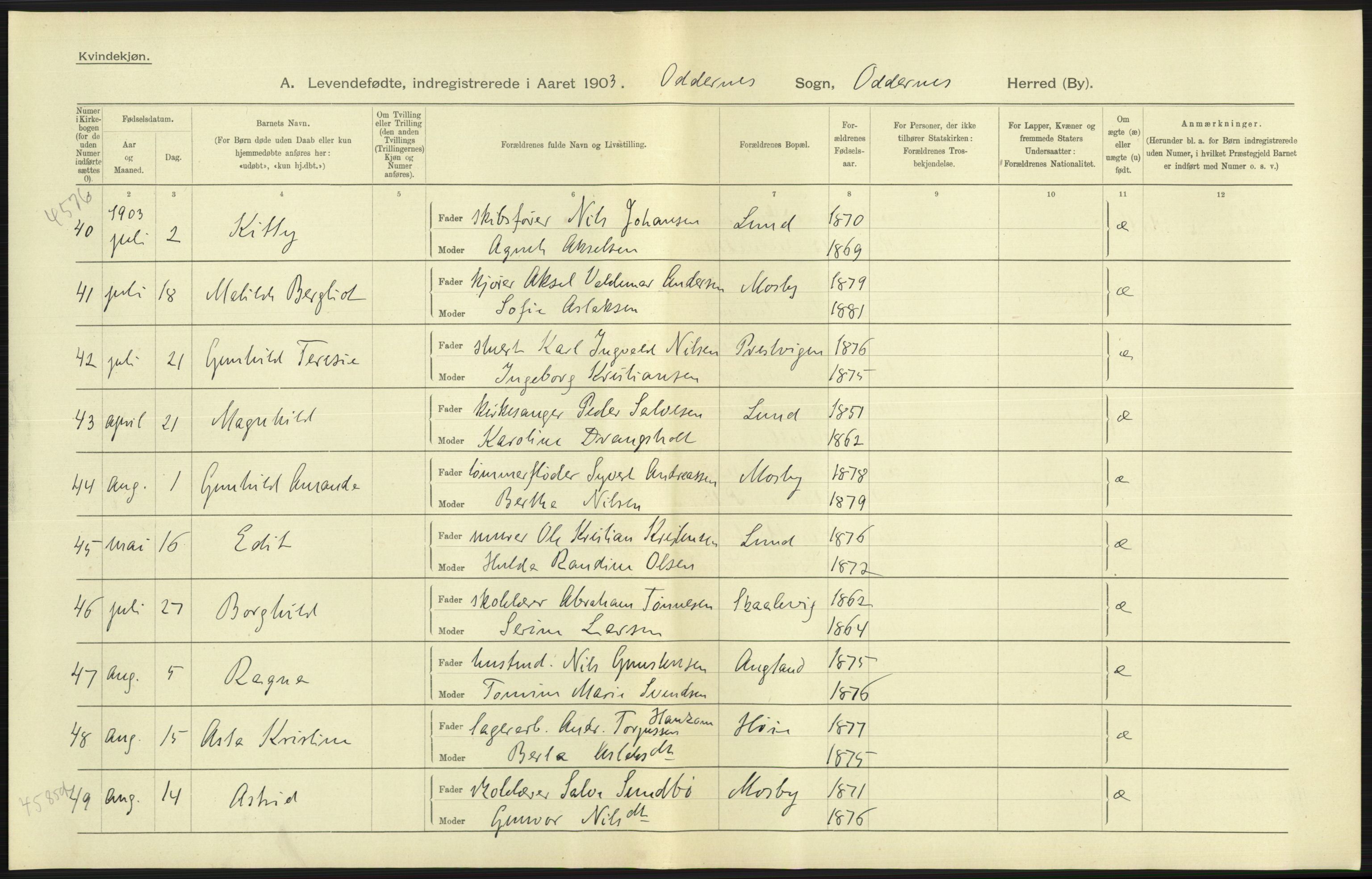 Statistisk sentralbyrå, Sosiodemografiske emner, Befolkning, AV/RA-S-2228/D/Df/Dfa/Dfaa/L0011: Lister og Mandal amt: Fødte, gifte, døde, 1903, p. 185