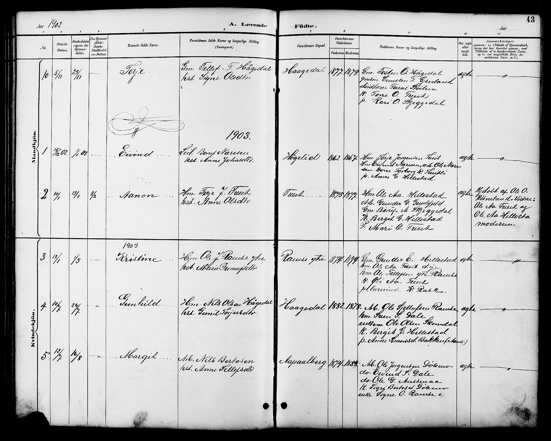 Åmli sokneprestkontor, AV/SAK-1111-0050/F/Fb/Fbb/L0002: Parish register (copy) no. B 2, 1890-1905, p. 43