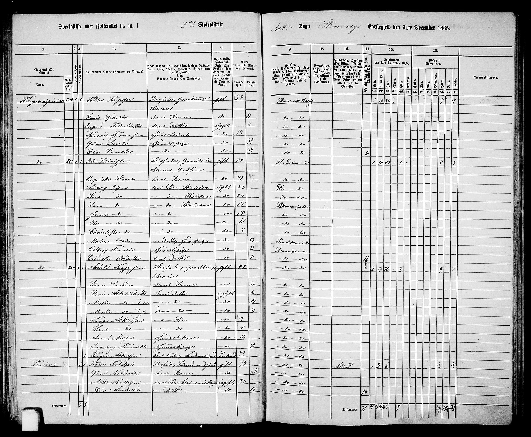 RA, 1865 census for Skånevik, 1865, p. 53