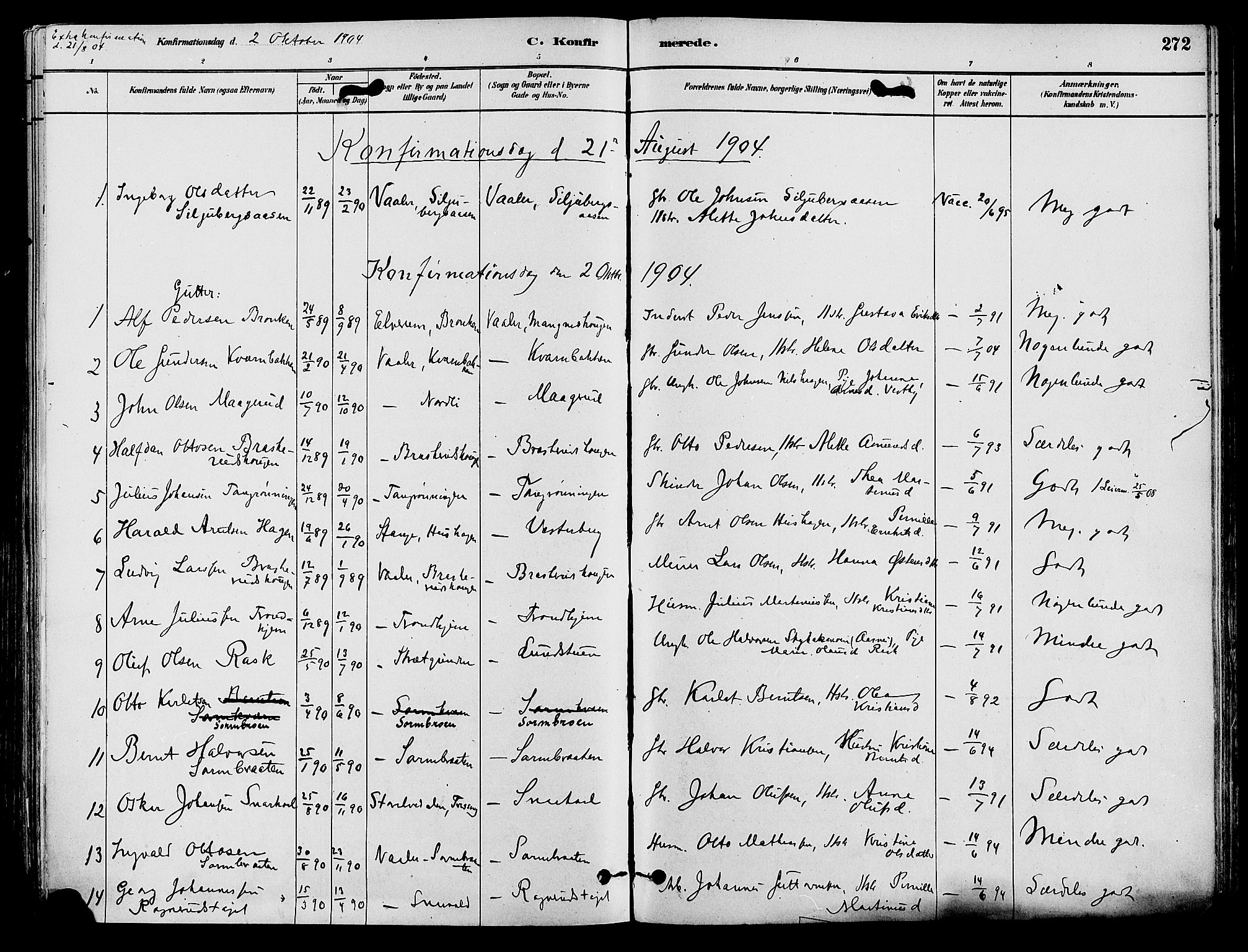 Våler prestekontor, Hedmark, AV/SAH-PREST-040/H/Ha/Haa/L0002: Parish register (official) no. 3, 1879-1911, p. 272