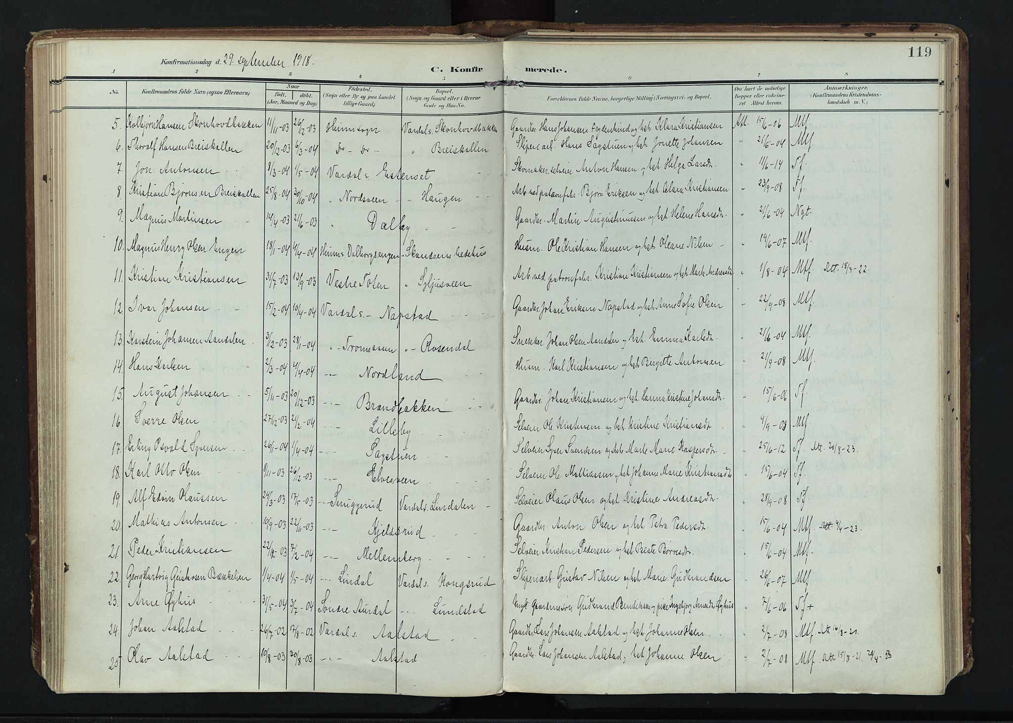 Vardal prestekontor, SAH/PREST-100/H/Ha/Haa/L0020: Parish register (official) no. 20, 1907-1921, p. 119