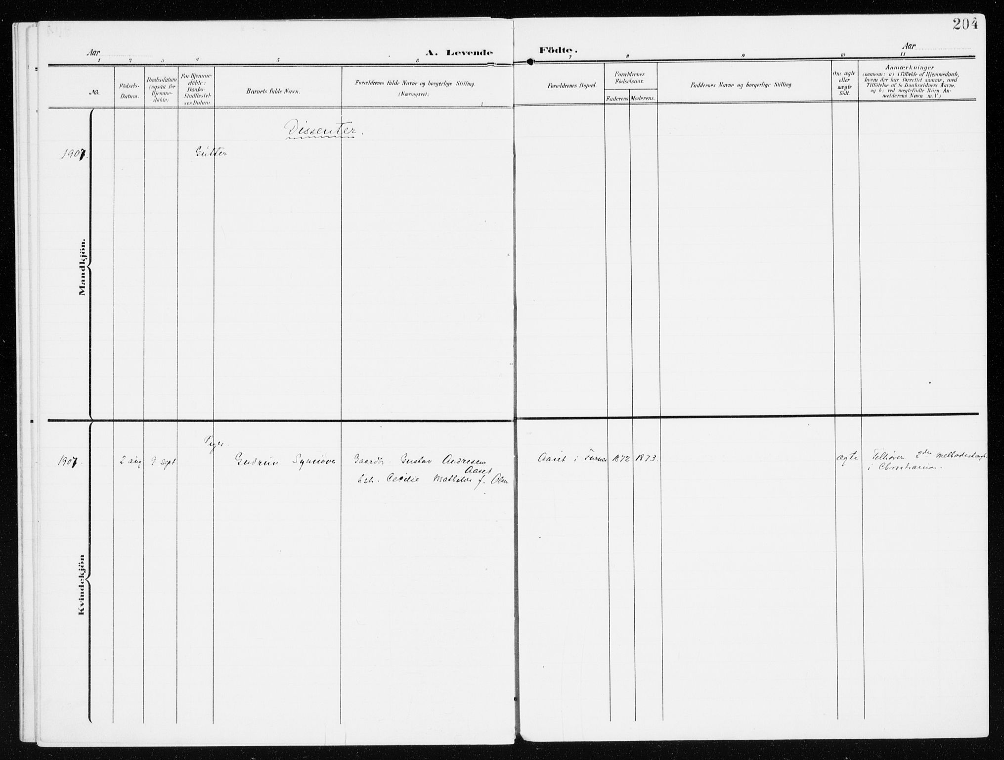 Furnes prestekontor, SAH/PREST-012/K/Ka/L0001: Parish register (official) no. 1, 1907-1935, p. 204