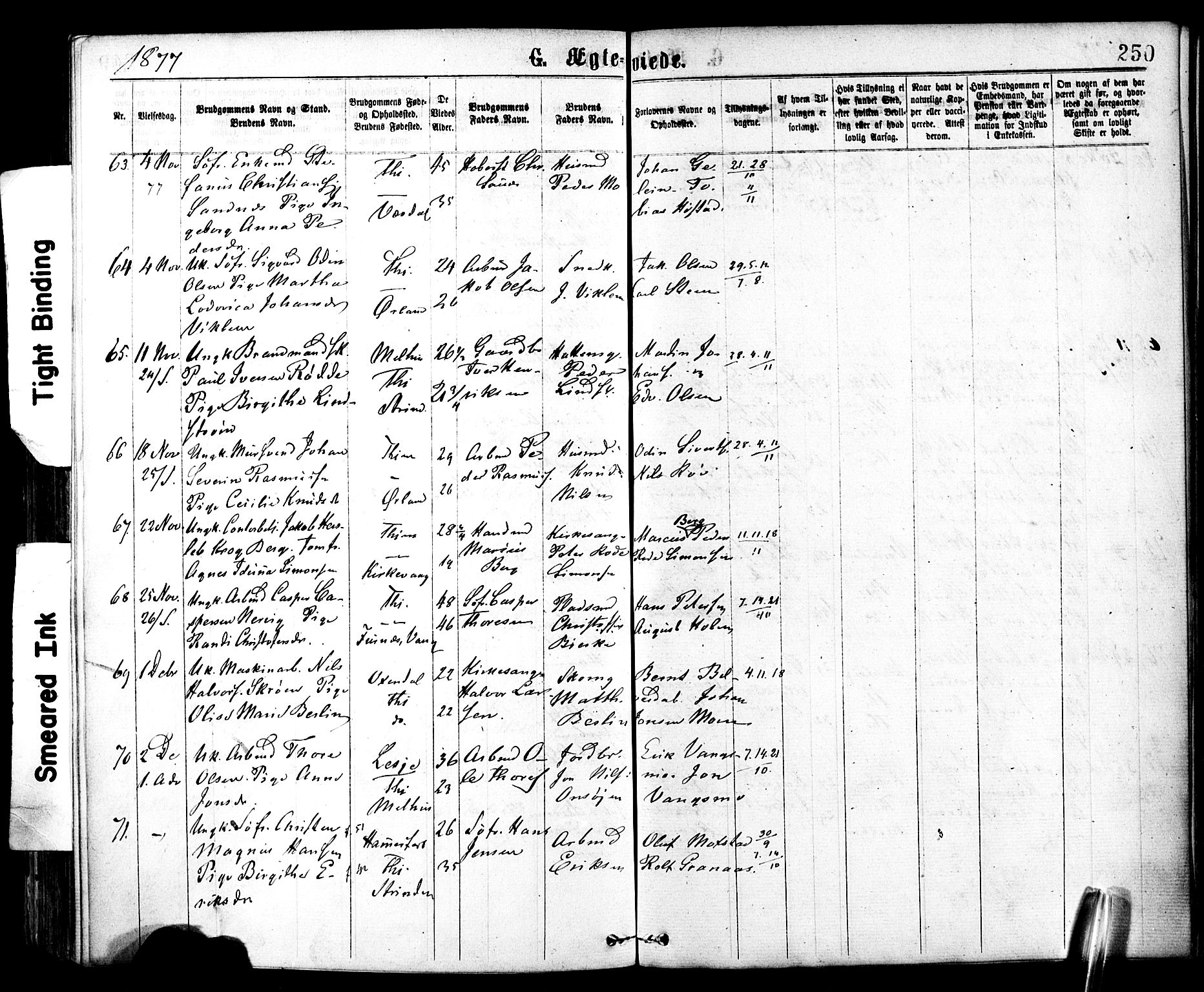 Ministerialprotokoller, klokkerbøker og fødselsregistre - Sør-Trøndelag, AV/SAT-A-1456/602/L0118: Parish register (official) no. 602A16, 1873-1879, p. 250