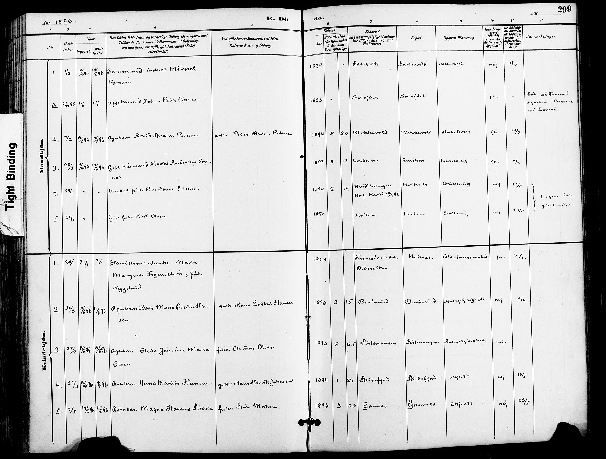 Karlsøy sokneprestembete, AV/SATØ-S-1299/H/Ha/Haa/L0007kirke: Parish register (official) no. 7, 1891-1902, p. 299