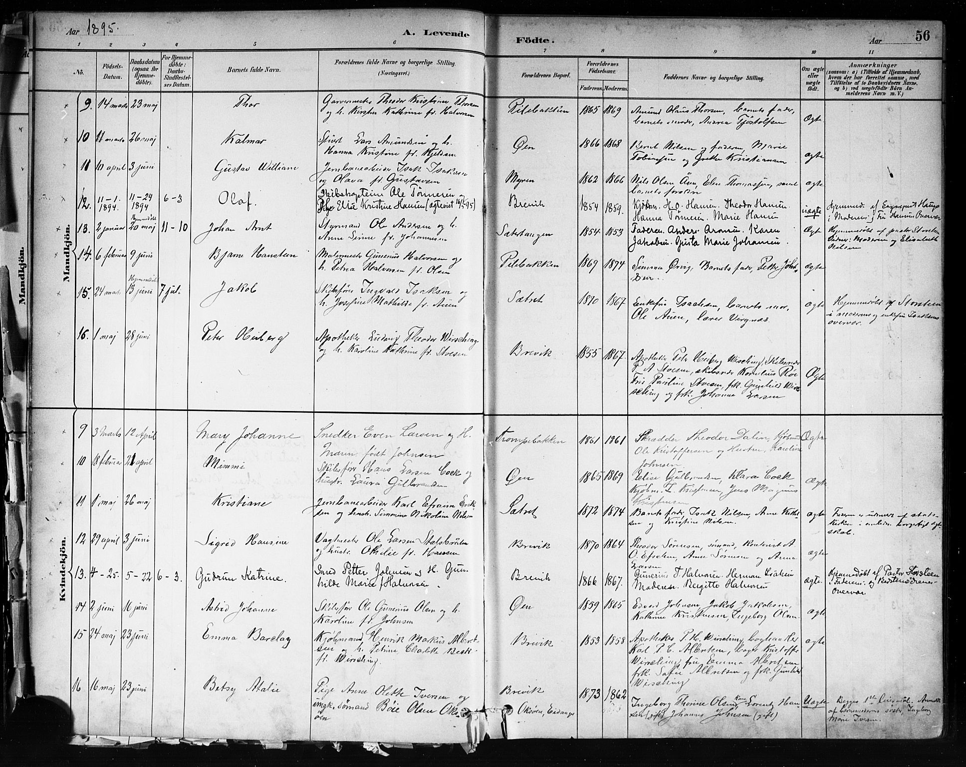 Brevik kirkebøker, SAKO/A-255/F/Fa/L0007: Parish register (official) no. 7, 1882-1900, p. 56