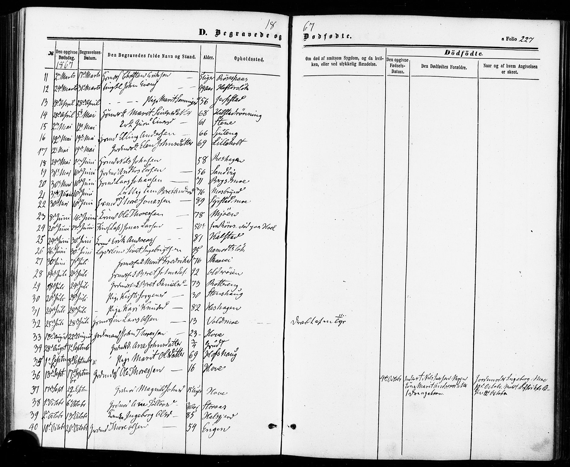 Ministerialprotokoller, klokkerbøker og fødselsregistre - Sør-Trøndelag, AV/SAT-A-1456/672/L0856: Parish register (official) no. 672A08, 1861-1881, p. 227