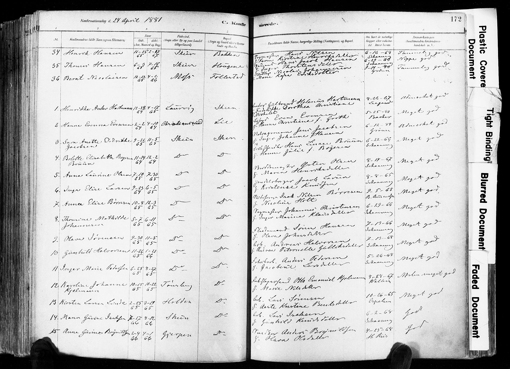 Skien kirkebøker, AV/SAKO-A-302/F/Fa/L0009: Parish register (official) no. 9, 1878-1890, p. 172