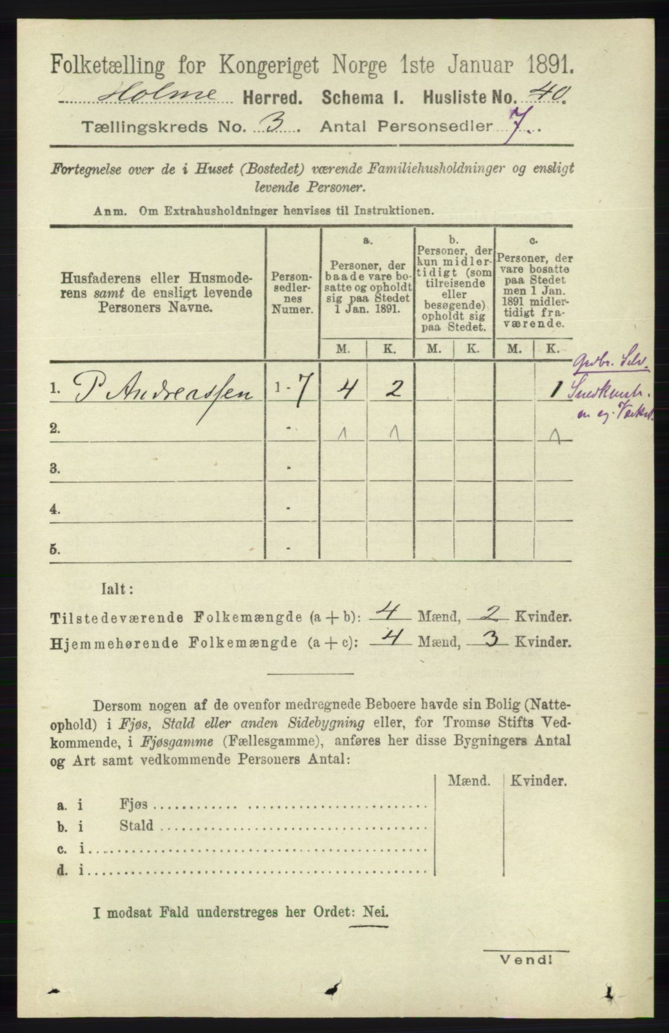 RA, 1891 census for 1020 Holum, 1891, p. 818