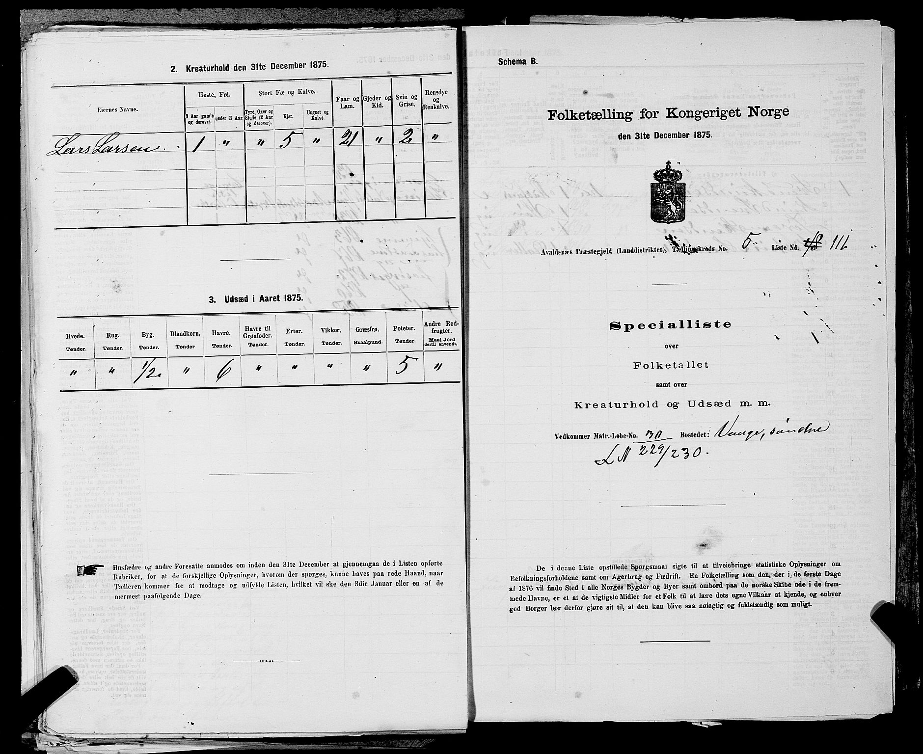 SAST, 1875 census for 1147L Avaldsnes/Avaldsnes og Kopervik, 1875, p. 895