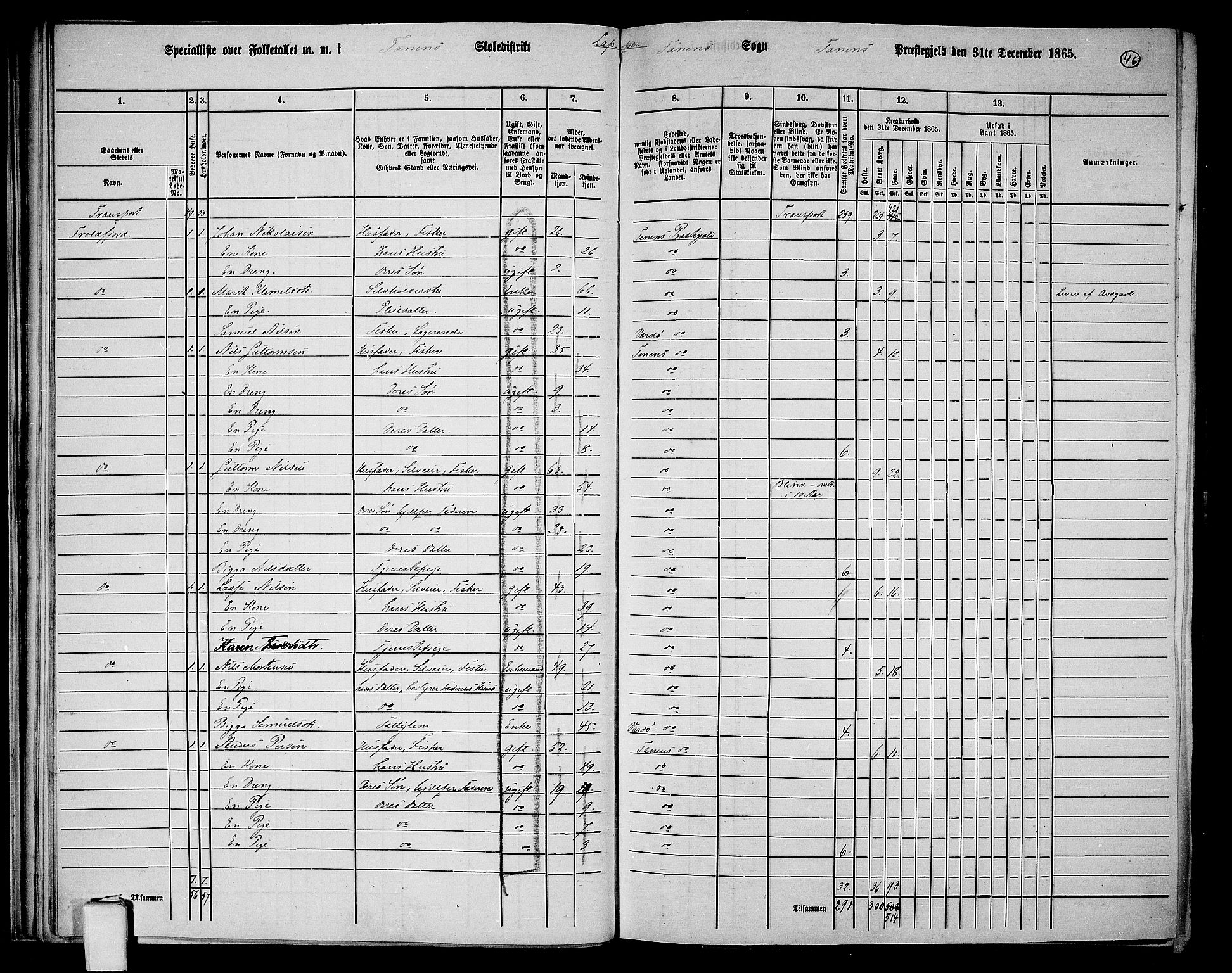 RA, 1865 census for Tana, 1865, p. 36