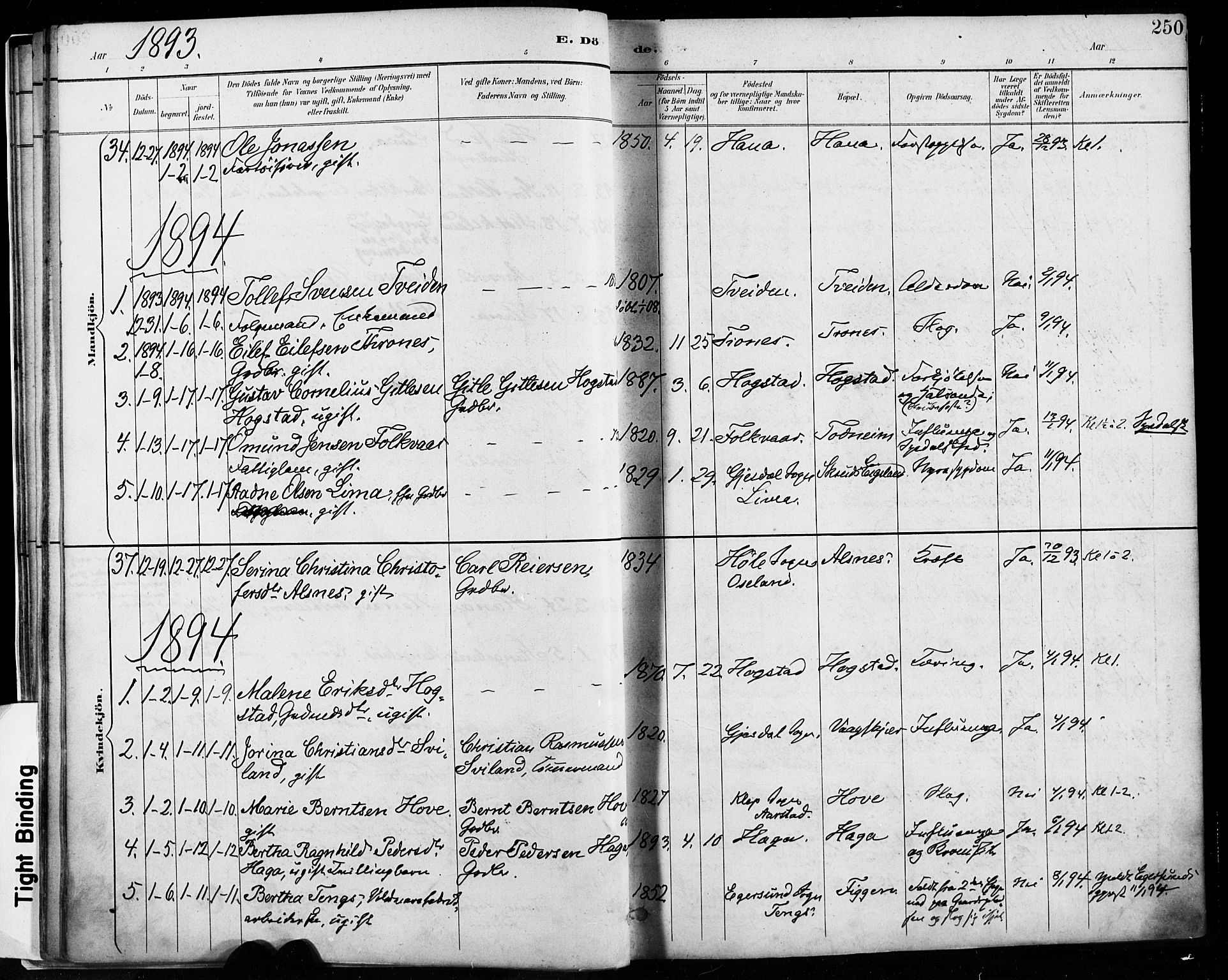 Høyland sokneprestkontor, SAST/A-101799/001/30BA/L0013: Parish register (official) no. A 13.2, 1889-1898, p. 250