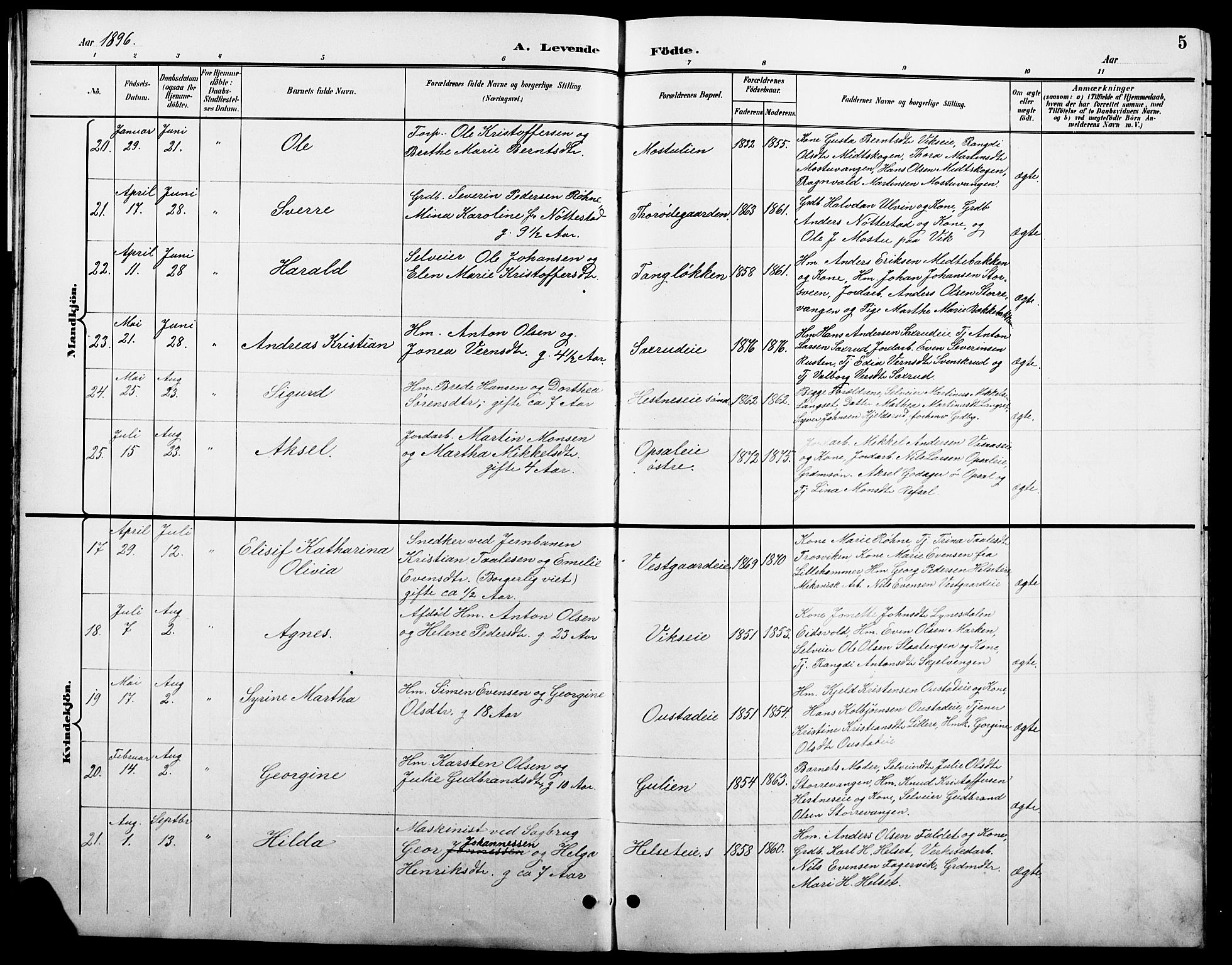 Stange prestekontor, AV/SAH-PREST-002/L/L0011: Parish register (copy) no. 11, 1895-1917, p. 5